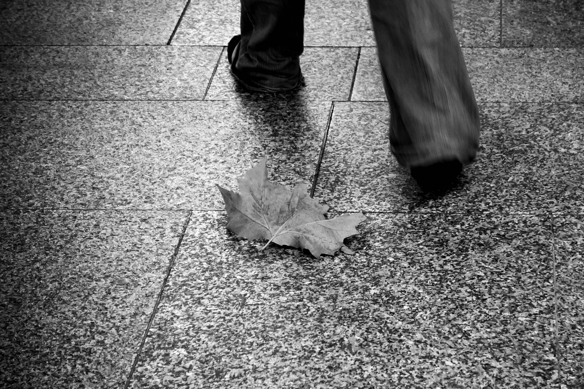 Vorber 10871984154 o