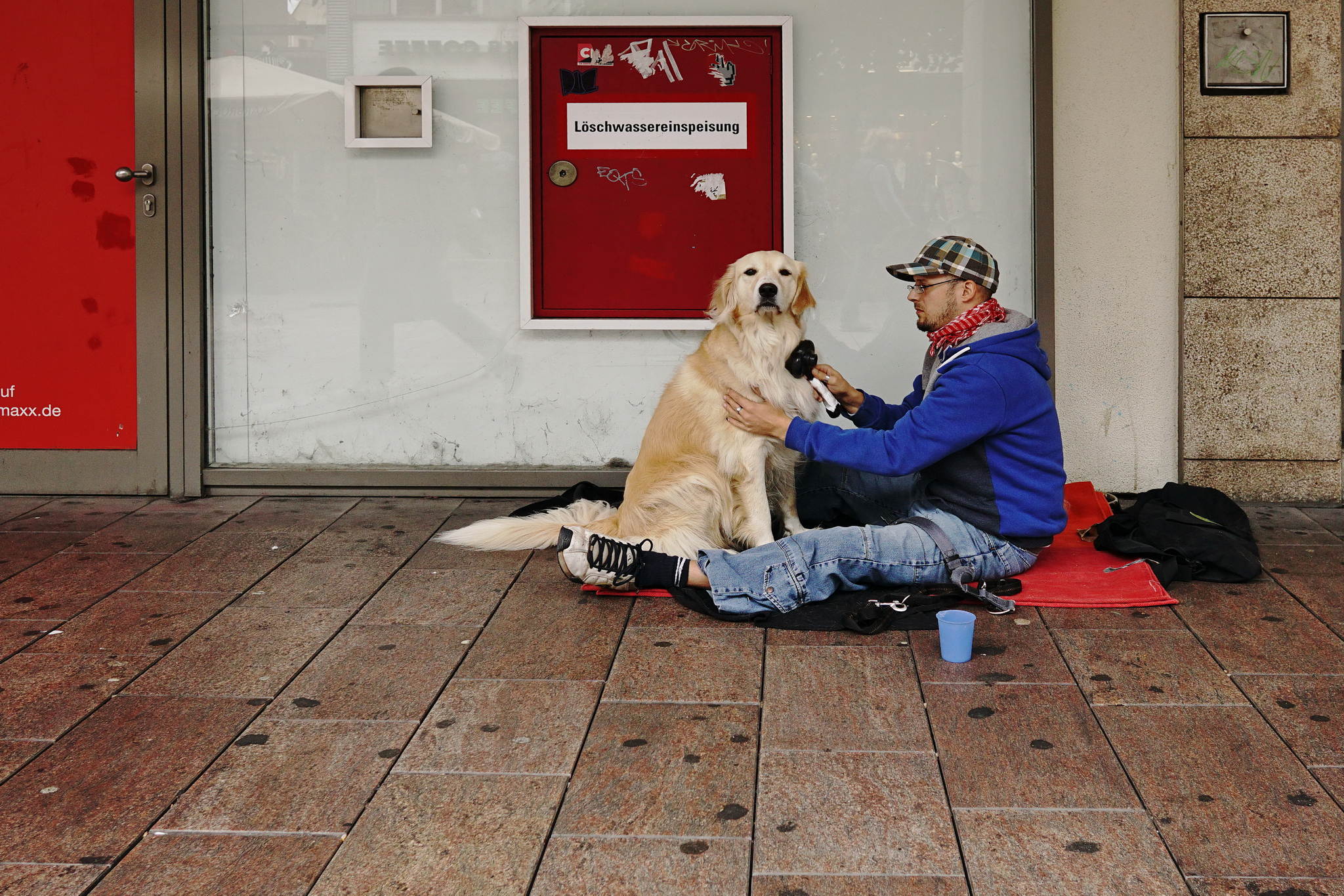 Wellnes fr den hund 20838037903 o