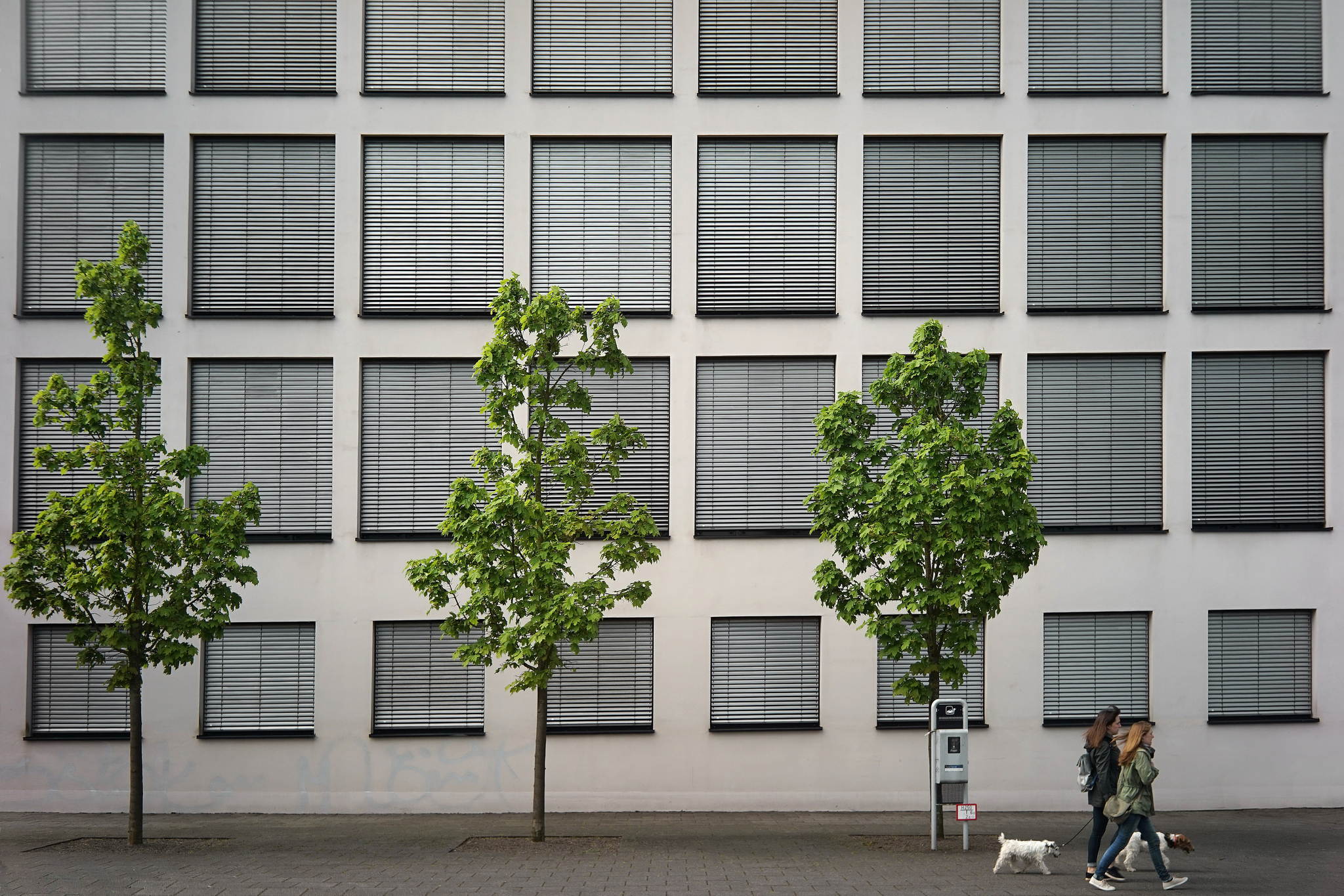 Y y y   26738498310 o