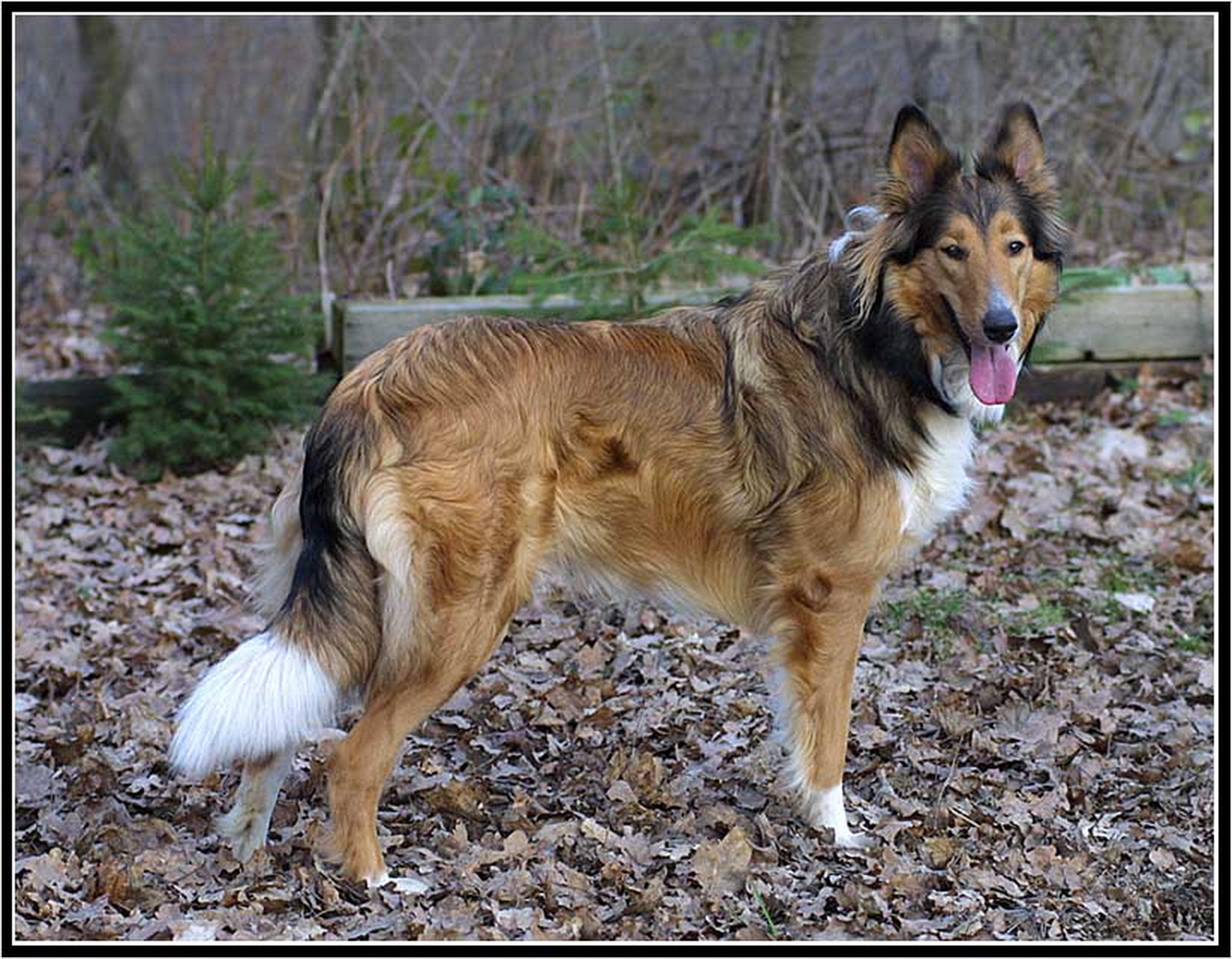 1062728 6013689754 o