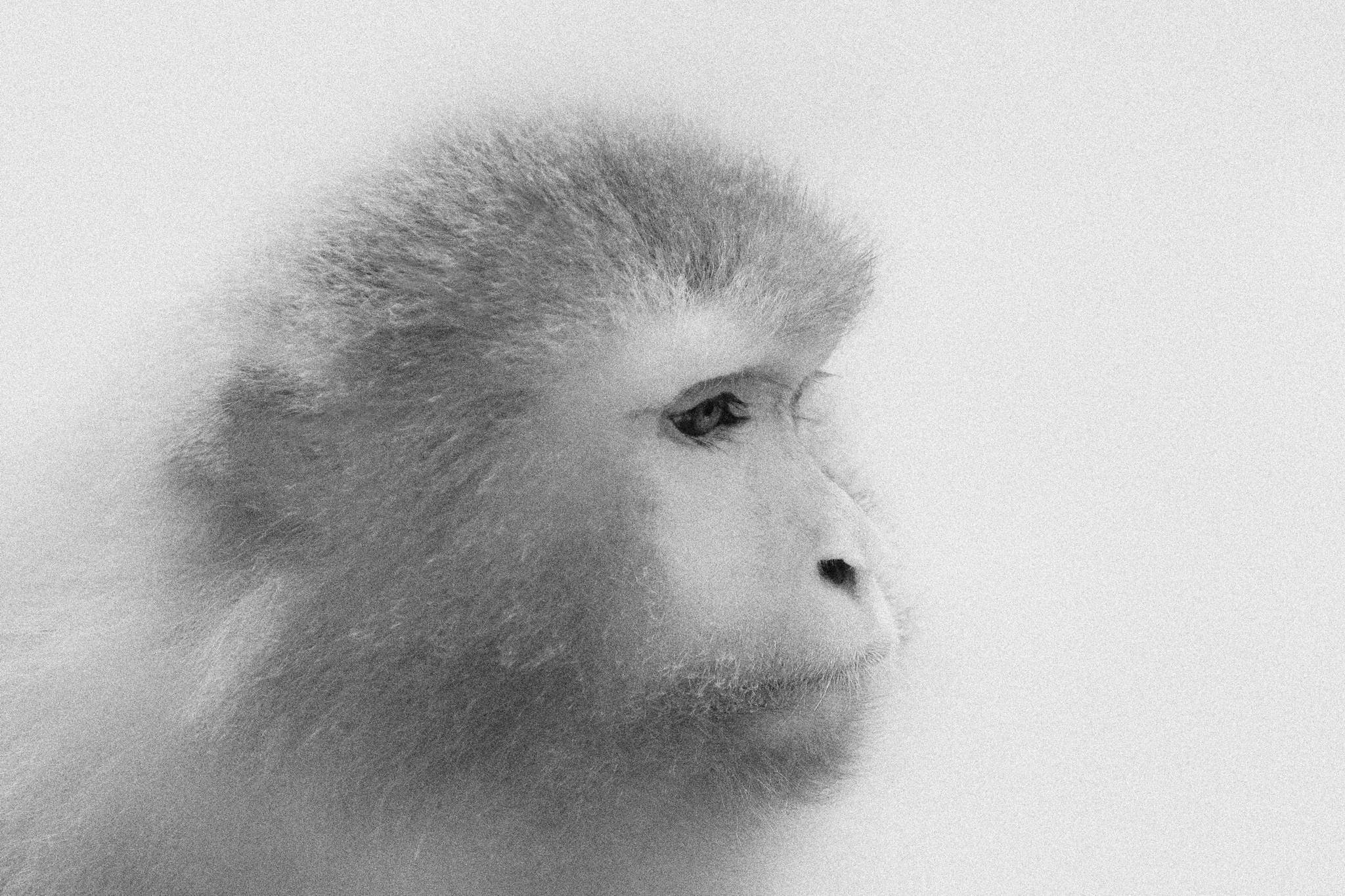 2005 03 25    IMG_3767asw1