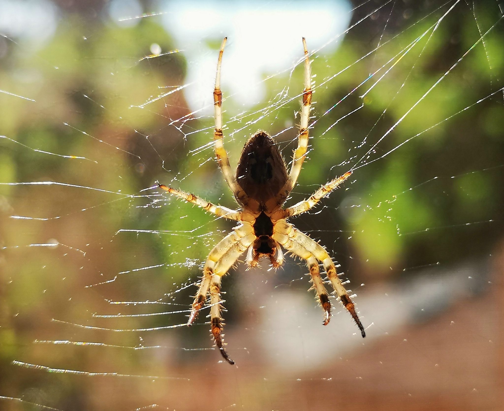 2018 08 20 10 24 30 43243093715 o