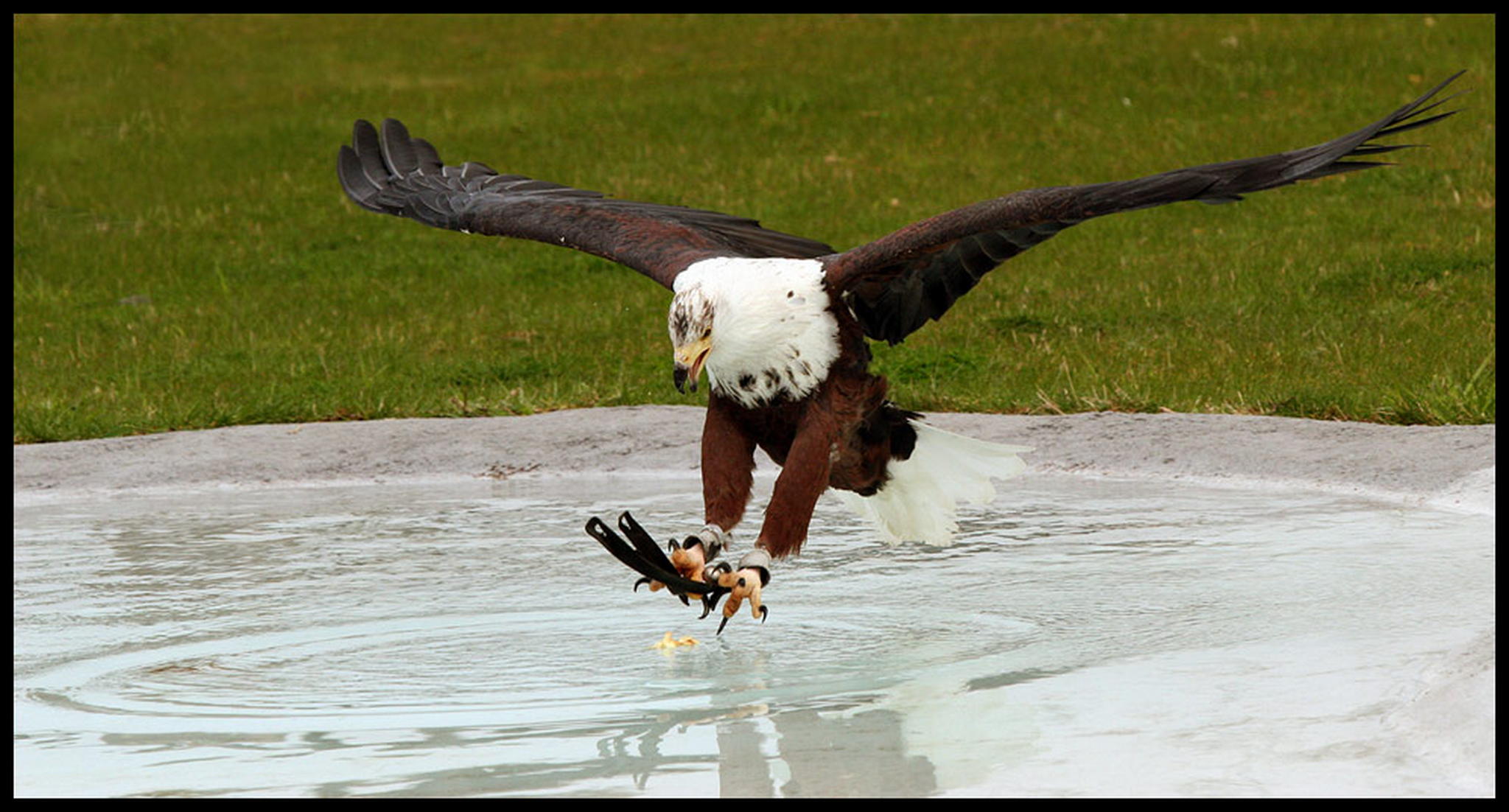 2beuteflug 1 6010522223 o