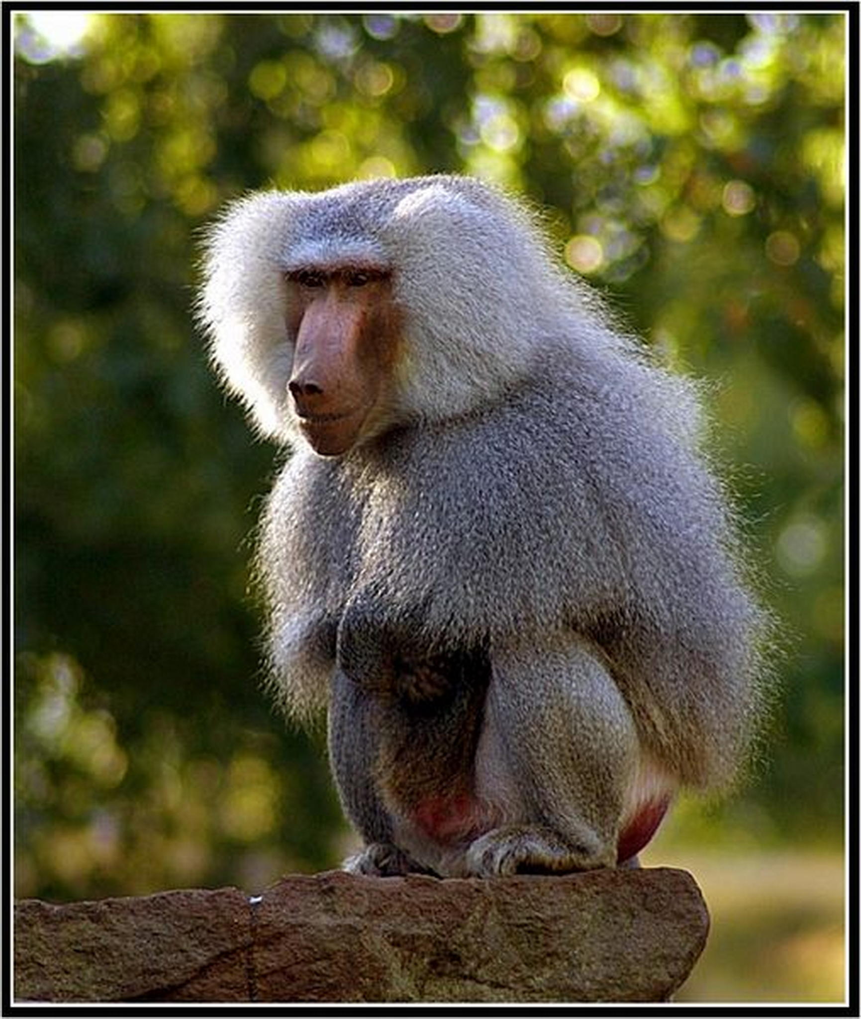 Alles hrt auf mein kommando 6013694264 o