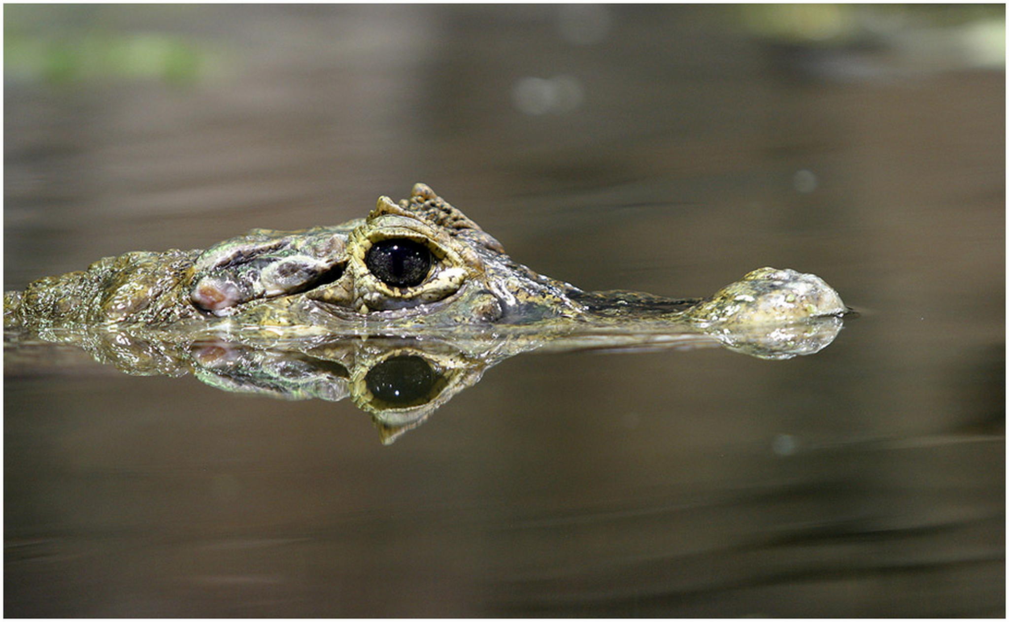 Alles im blick 6011100646 o