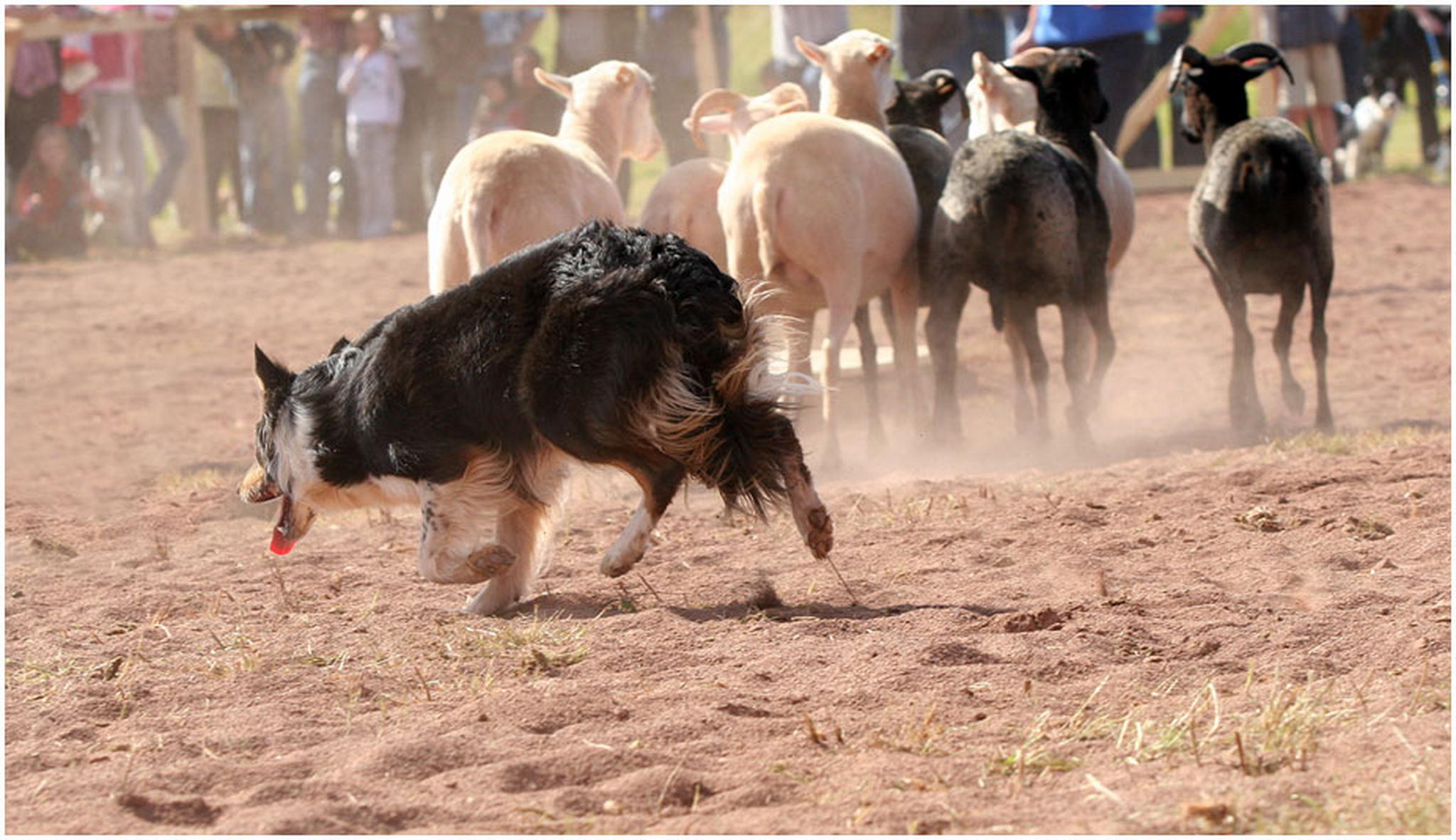 Alles im griff 6010539337 o