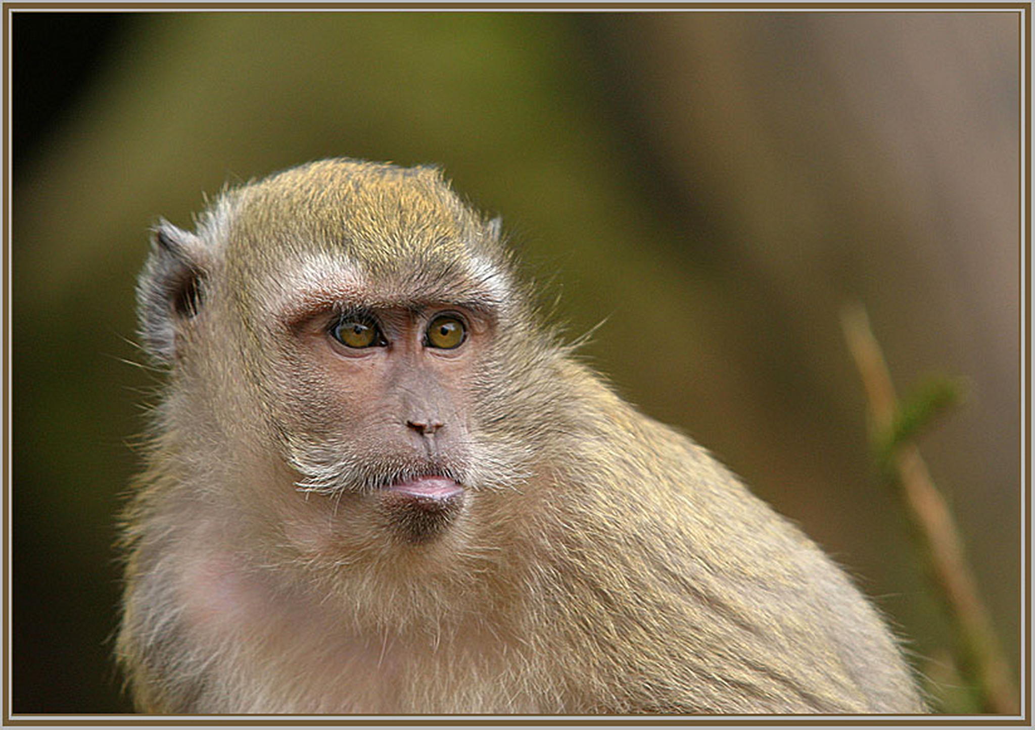 Alles unter kontrolle 6013692050 o