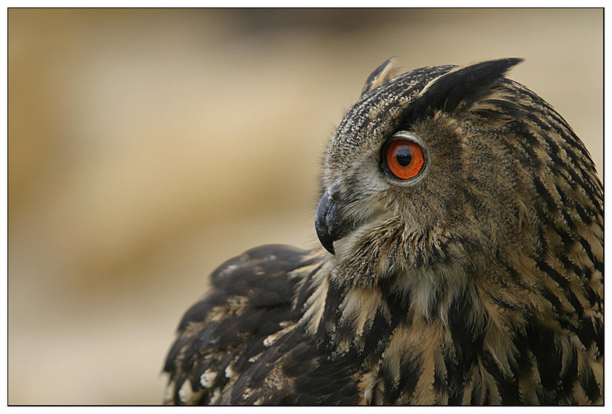 Alleskleber frisch aus der tube 6011377670 o