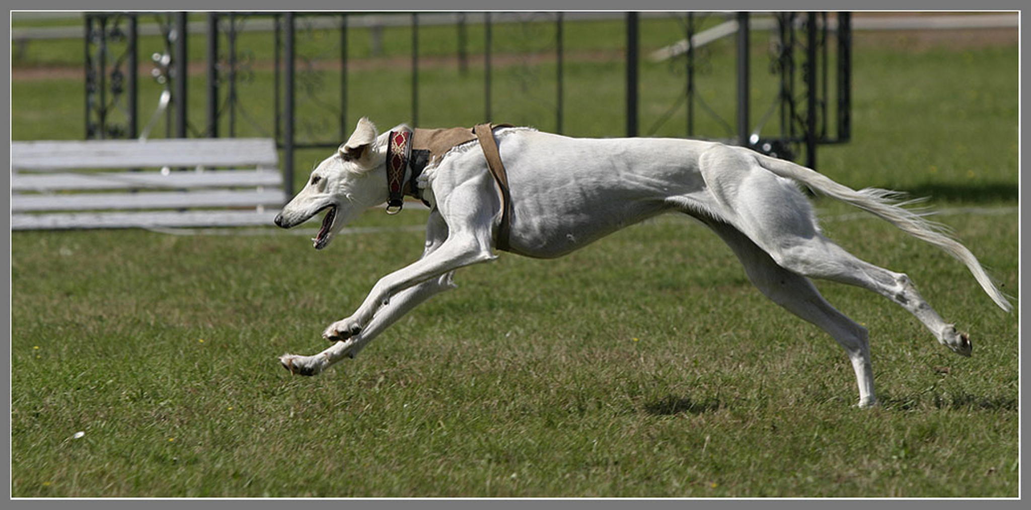 Am schnellsten 6010824081 o