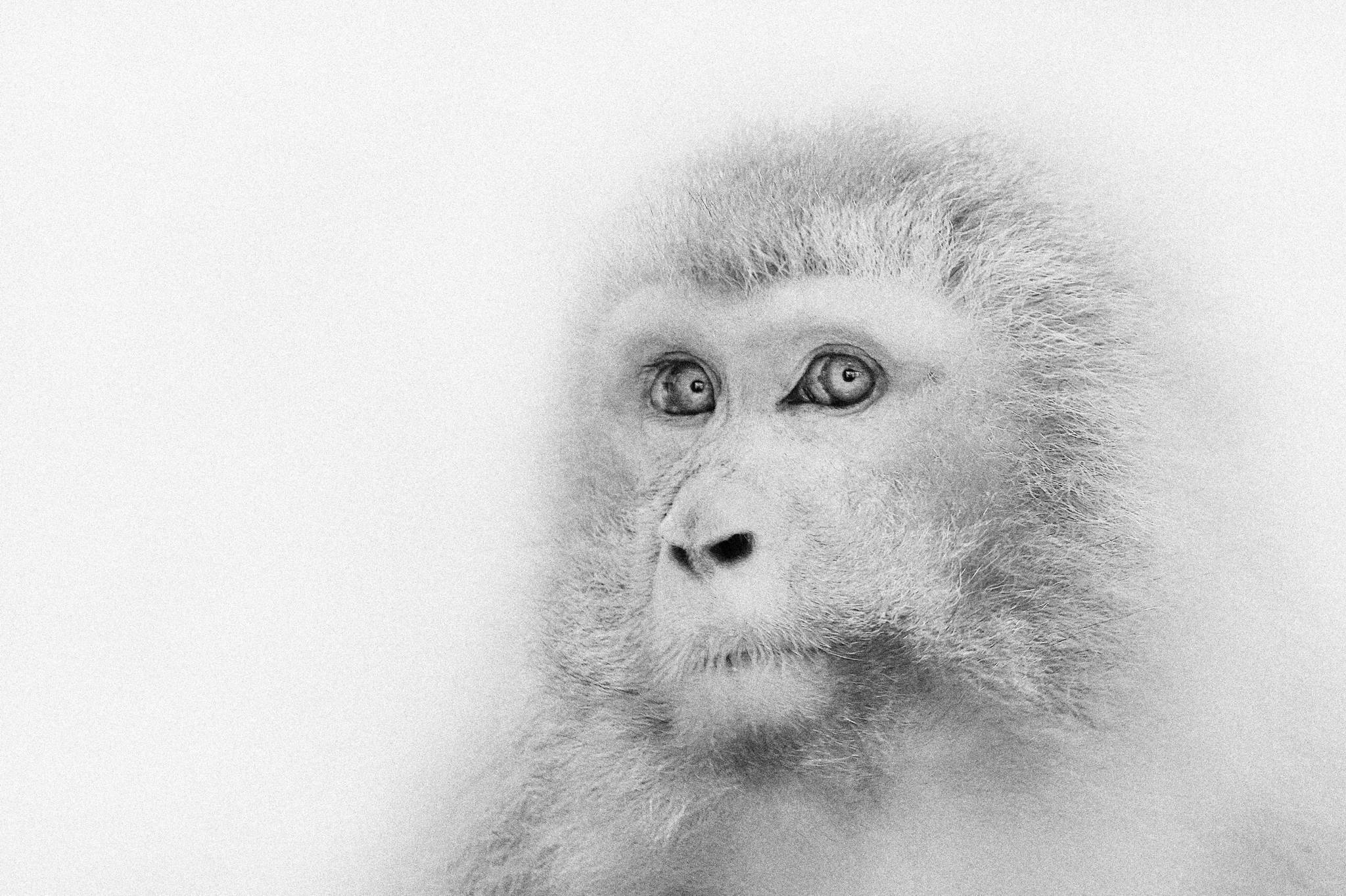 2005 03 25    IMG_3768fsw