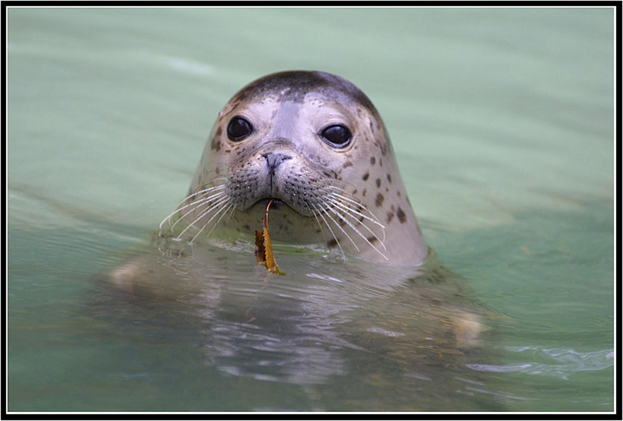 Auch kleine sachen machen spa 6013688674 o