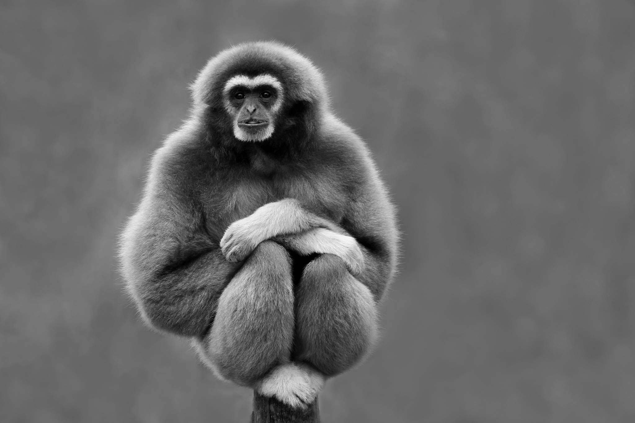 2005 03 25    IMG_3759asw