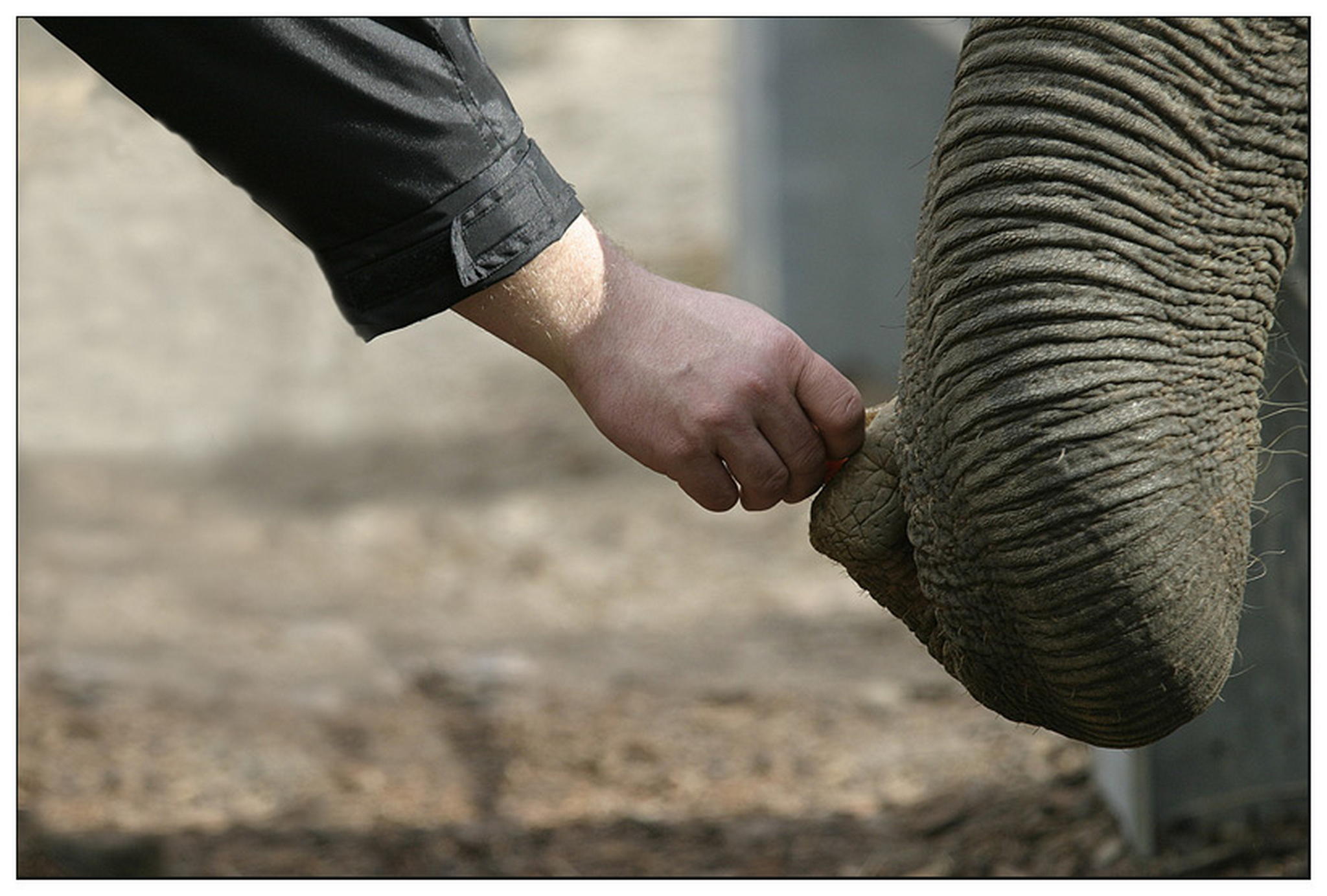 Berhrung des unbekannten 6011377402 o