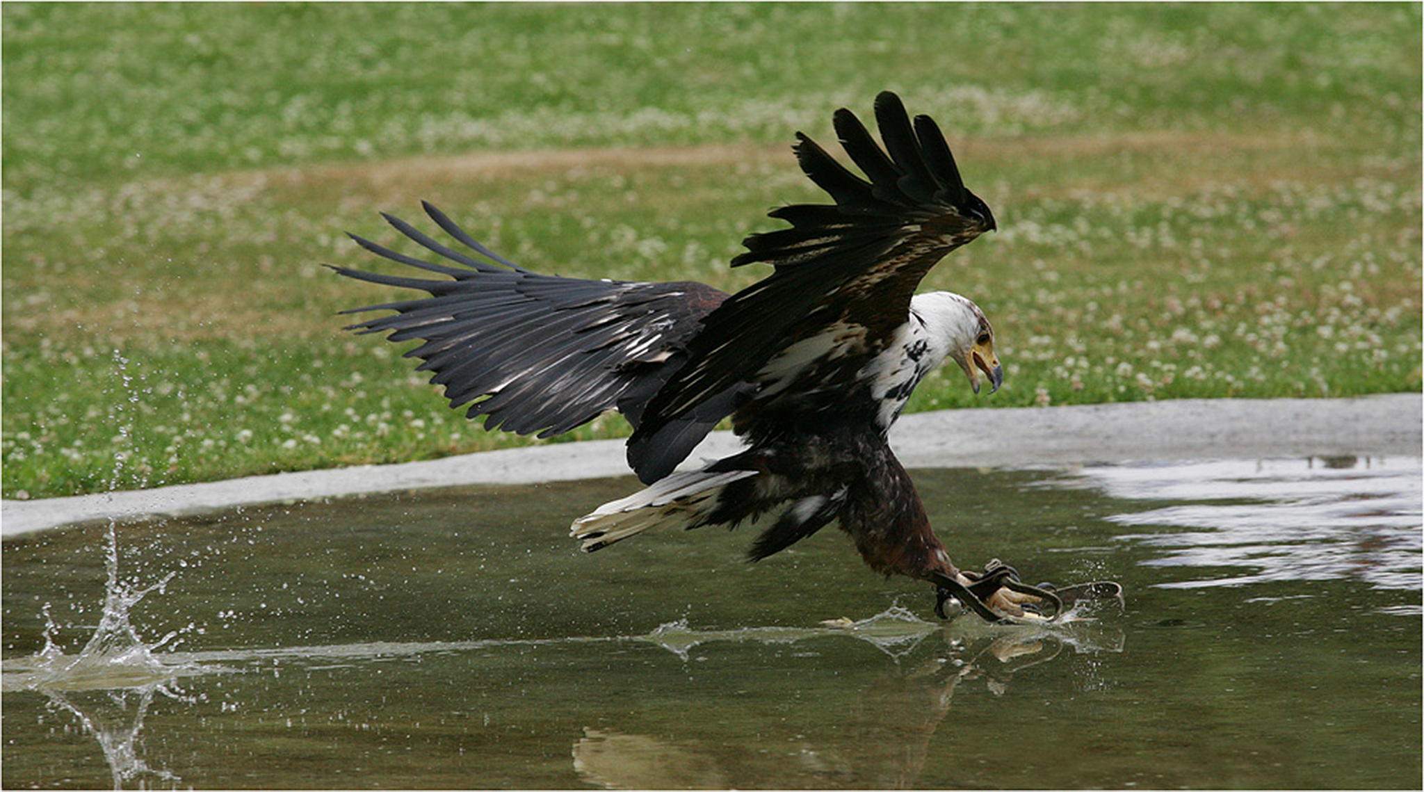 Beuteschlag 6010937802 o