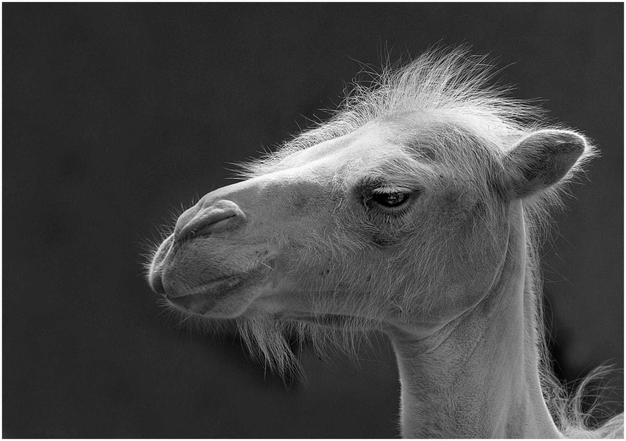 Das licht in den haaren hat mir gefallen 6010539273 o