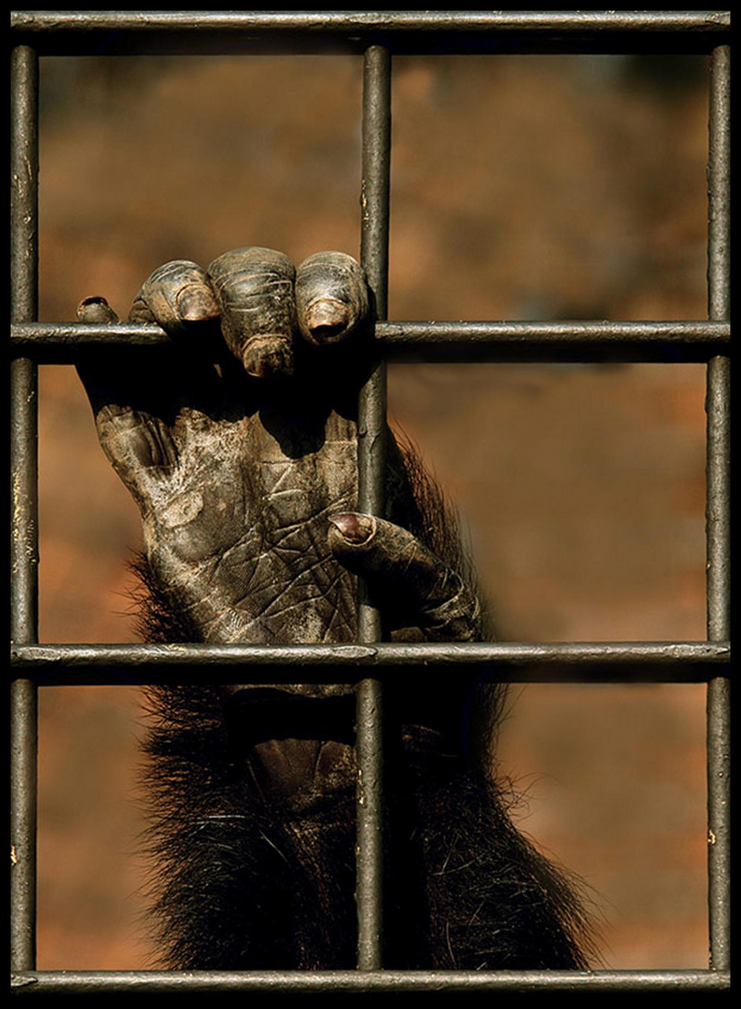 Denkmal bitte 6010534233 o