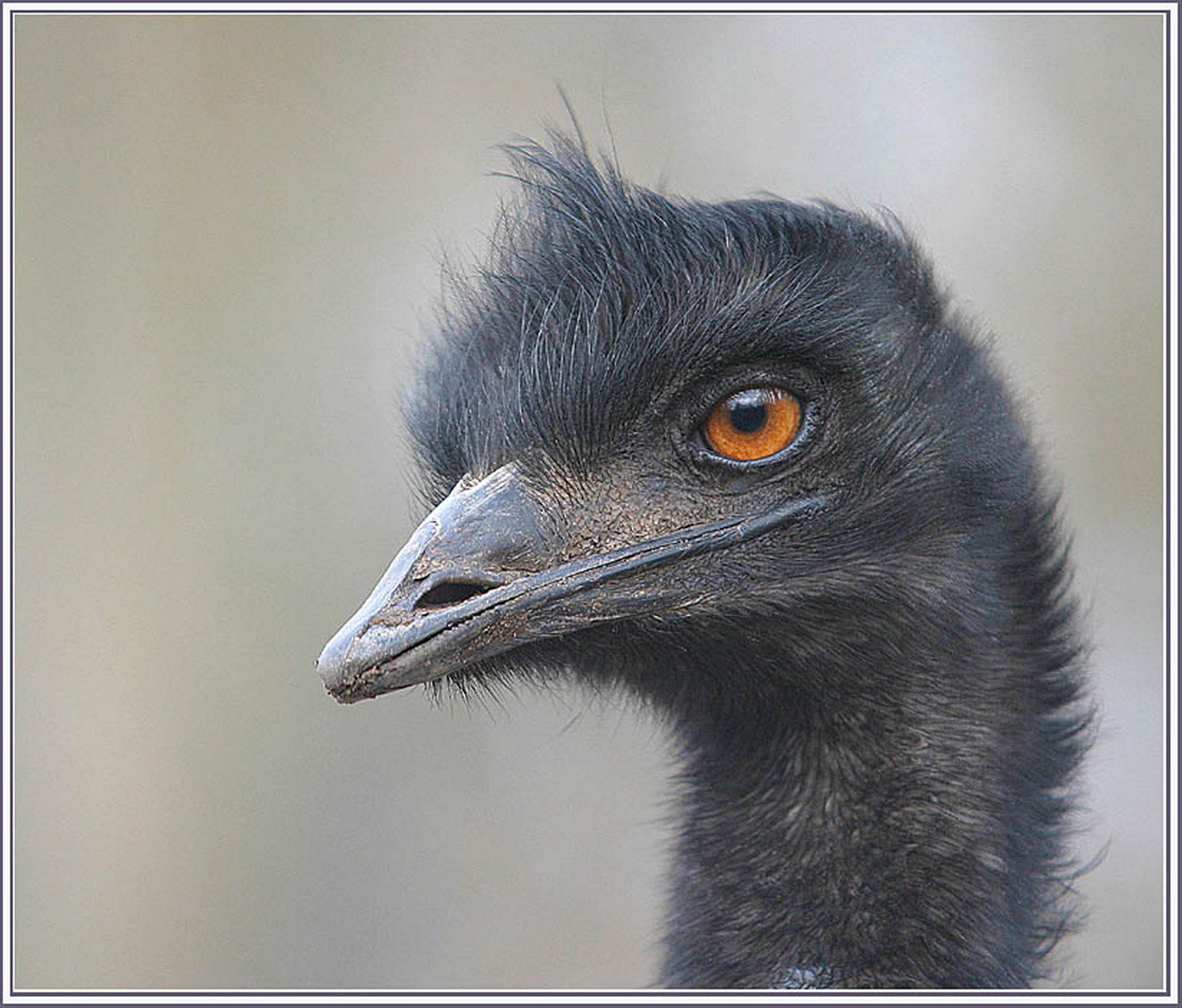 Der blick 6013692144 o