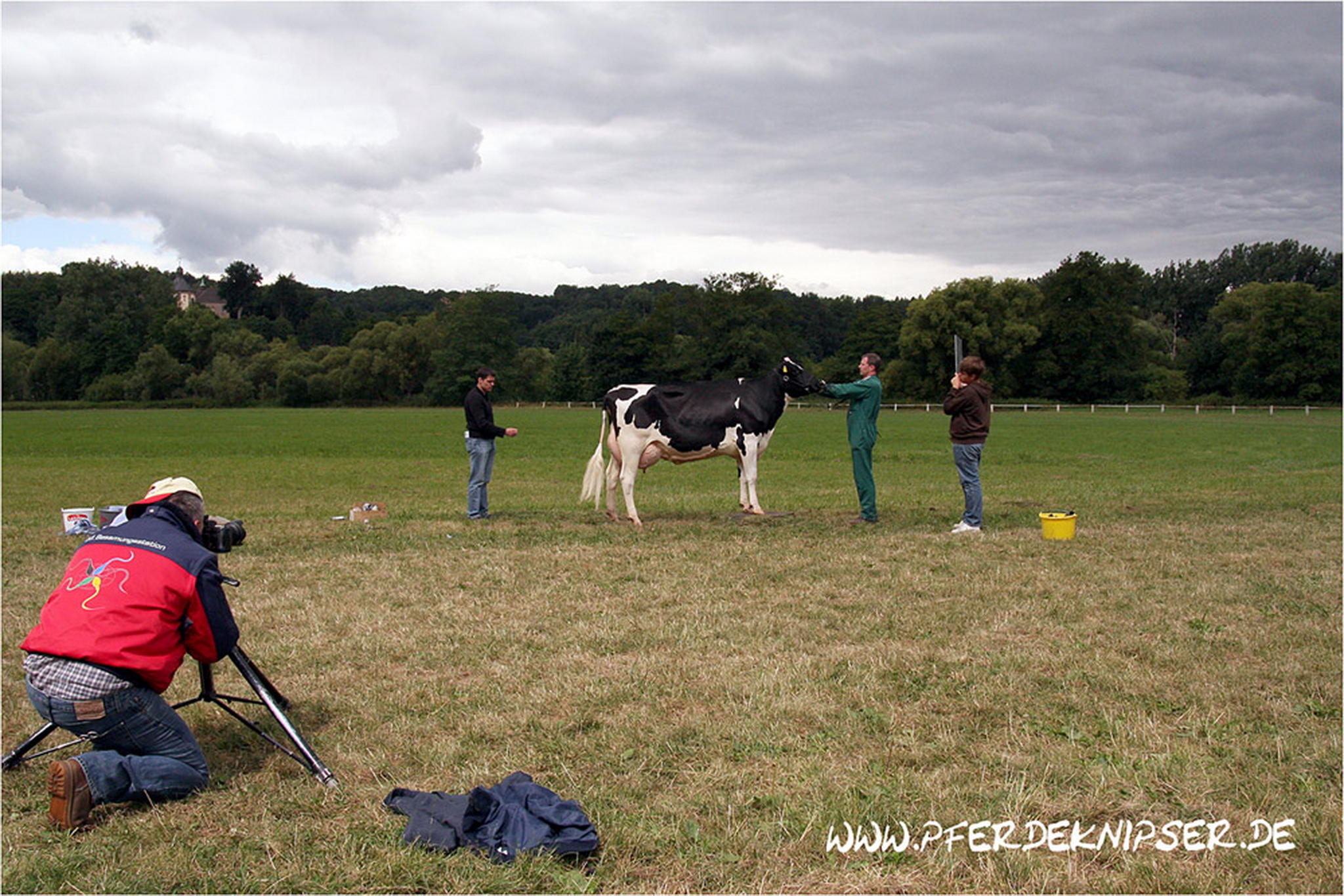 Der kuhfotograf 6010932522 o