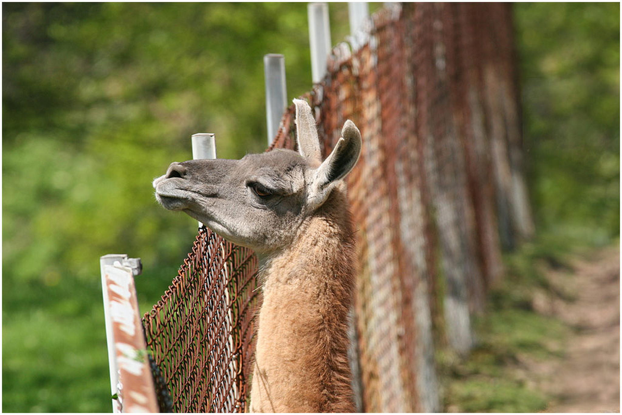 Der vollbiologische schraubentest 6010541783 o