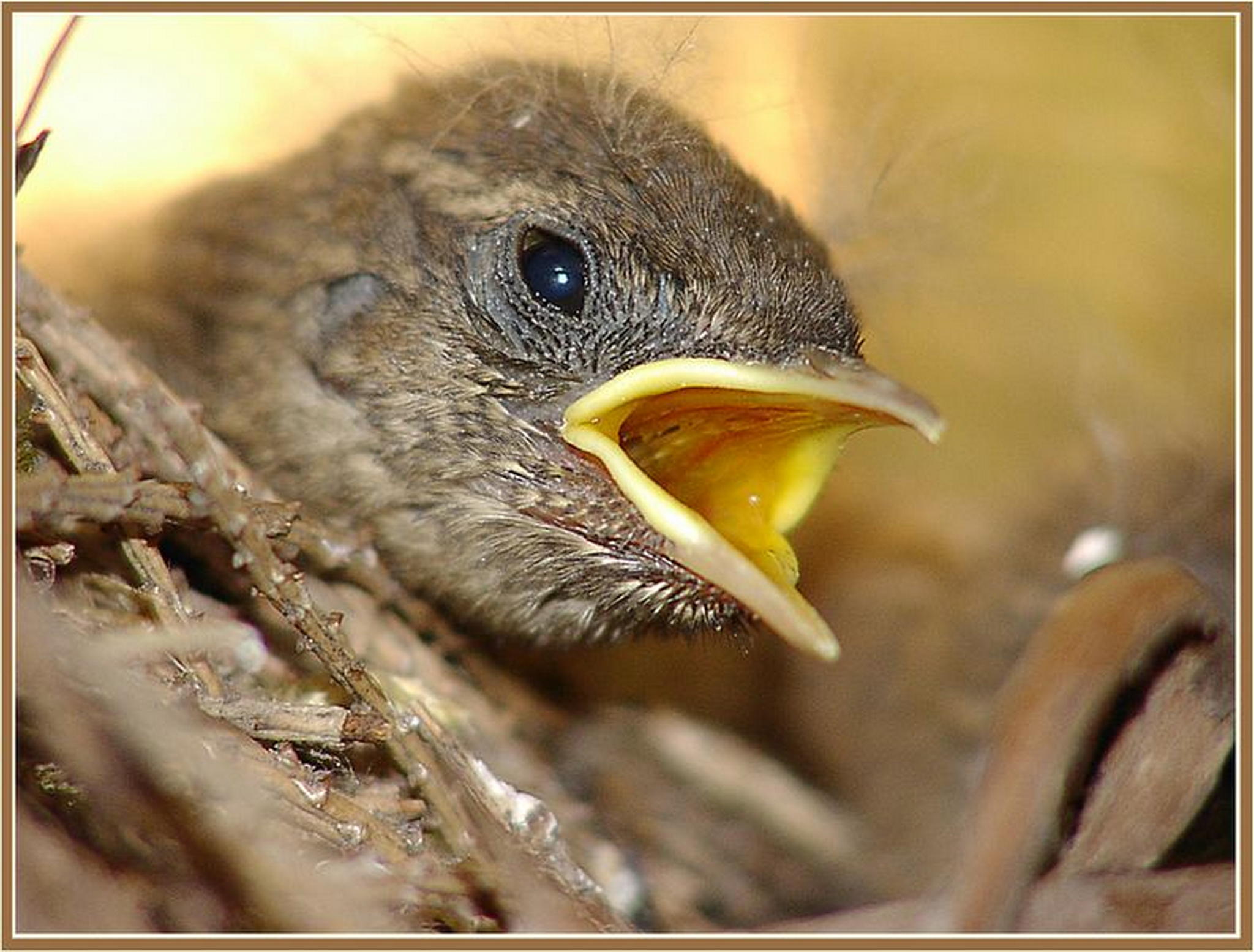 Der wrmste tag des jahres 6013146681 o