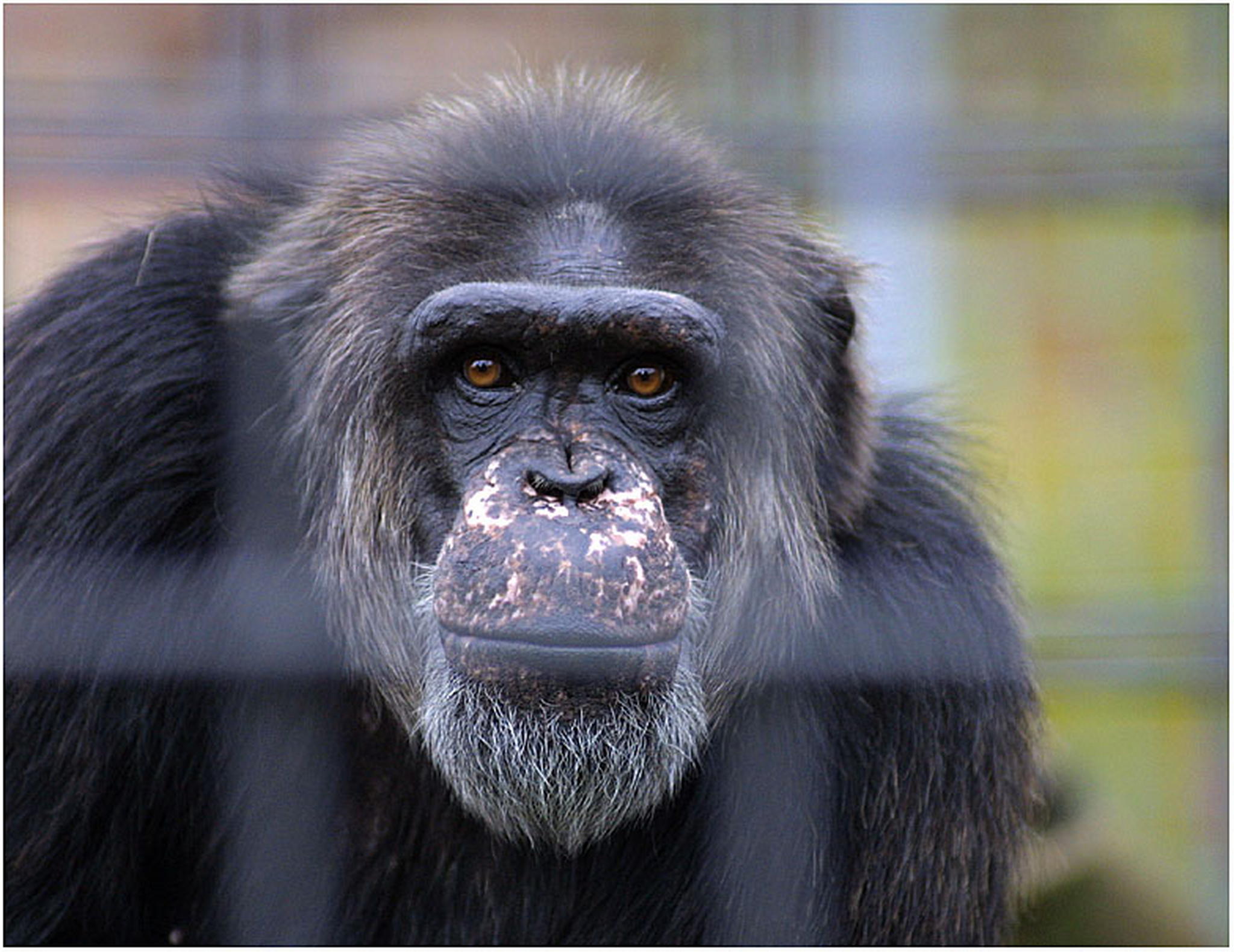 Eingesperrt 6013140681 o