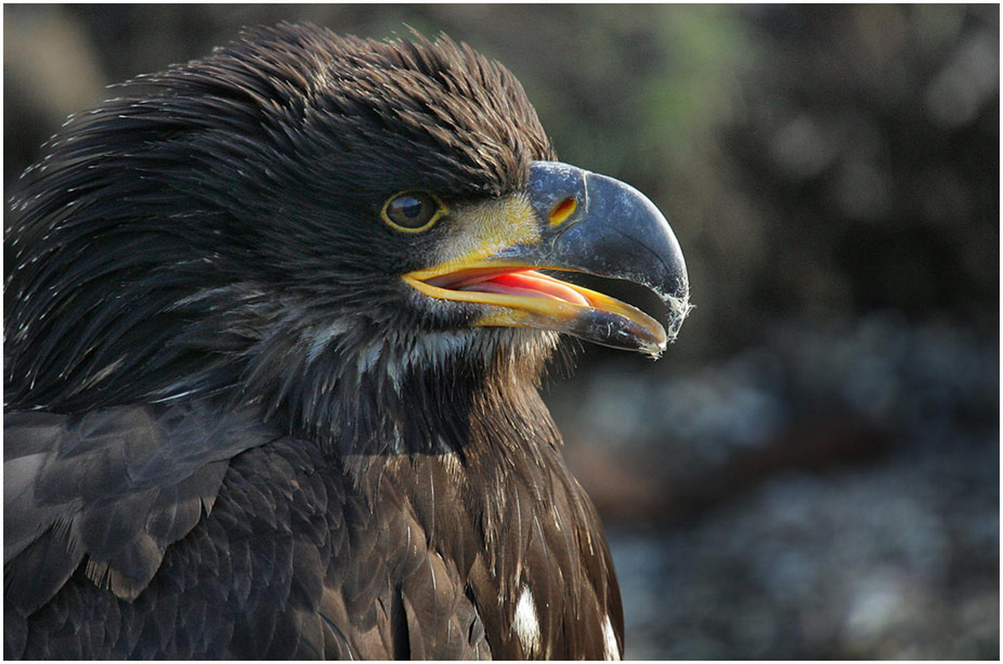 Etwas kalt 6010938766 o