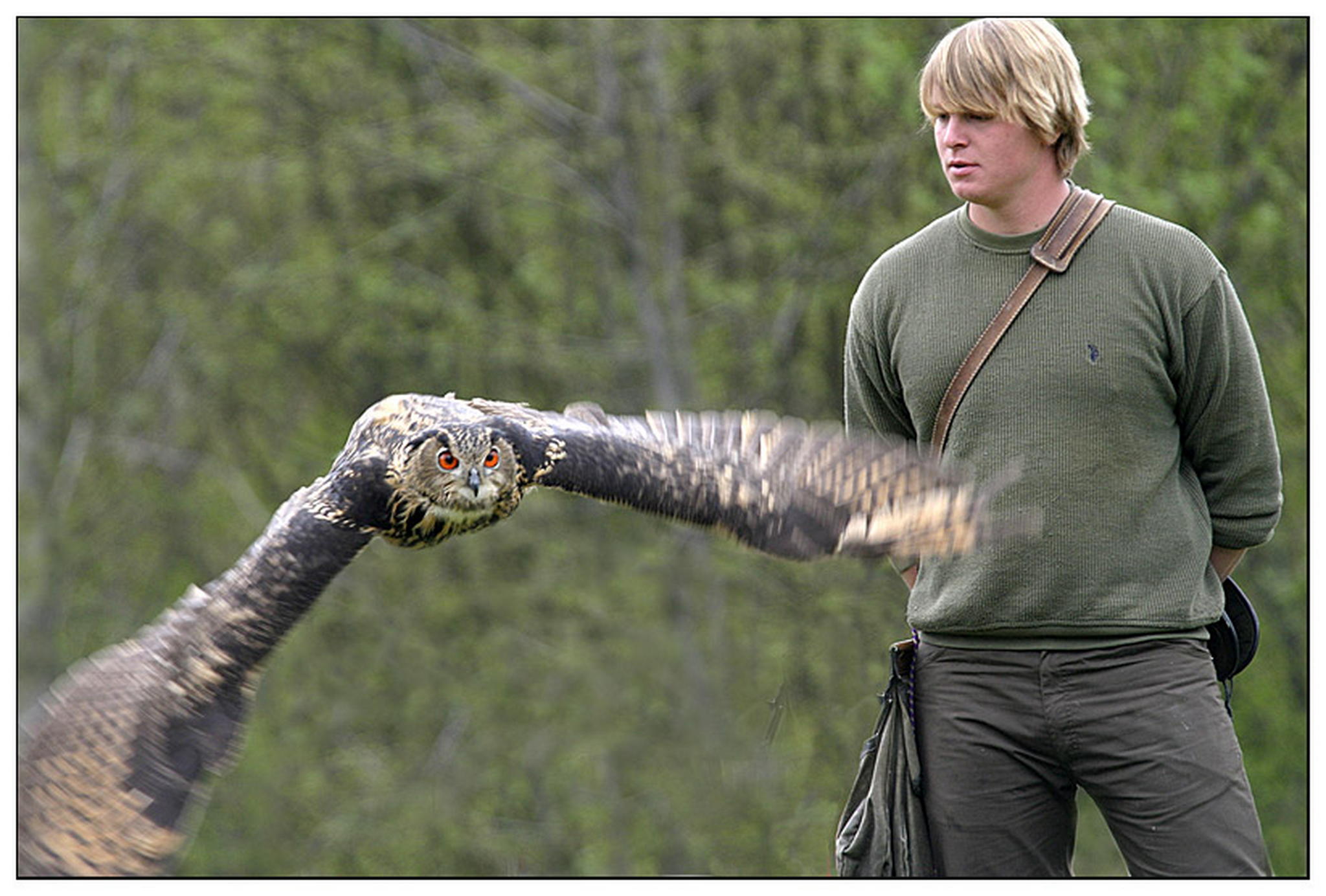 Falkner 6010827289 o