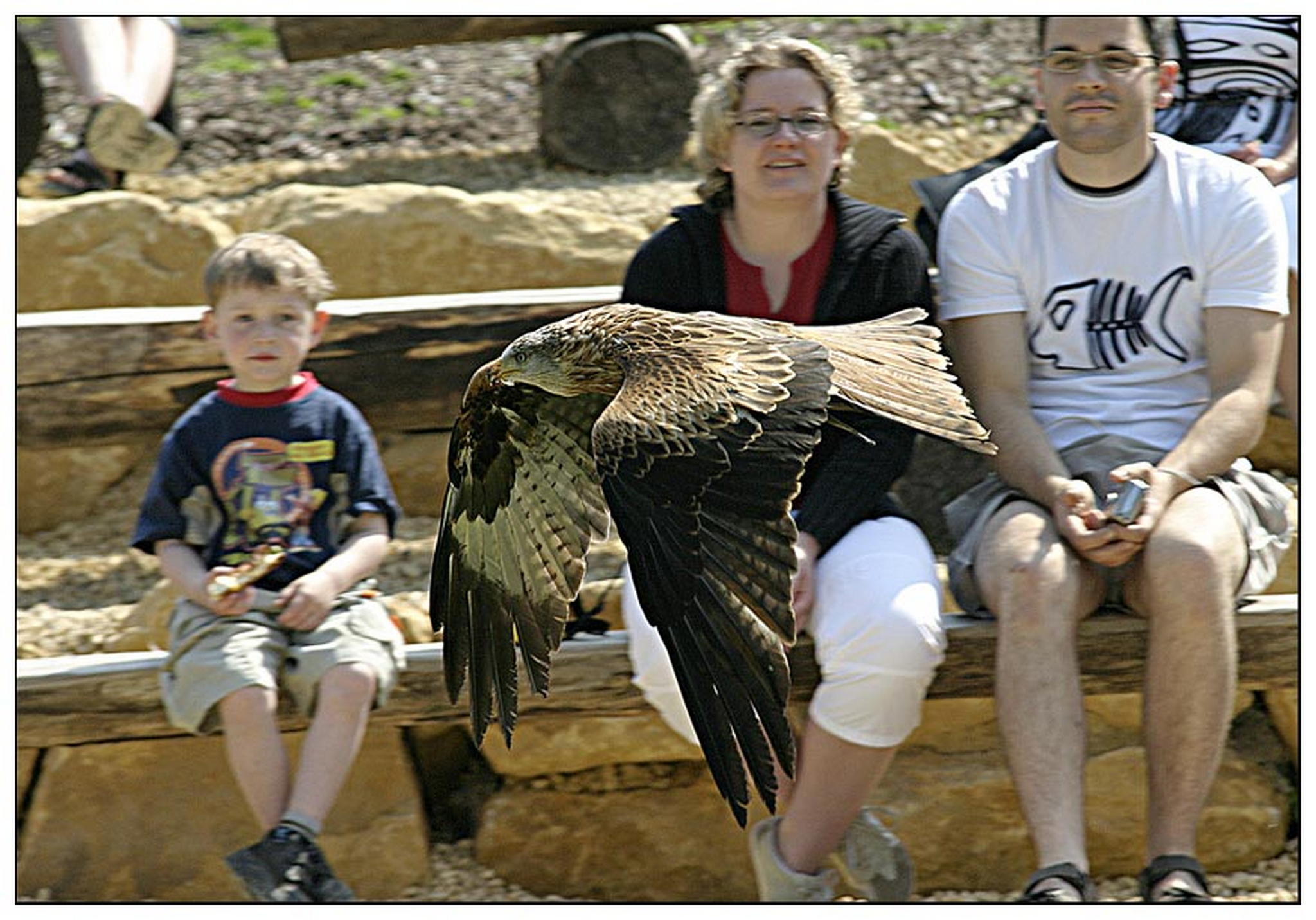 Faszination 6010826477 o