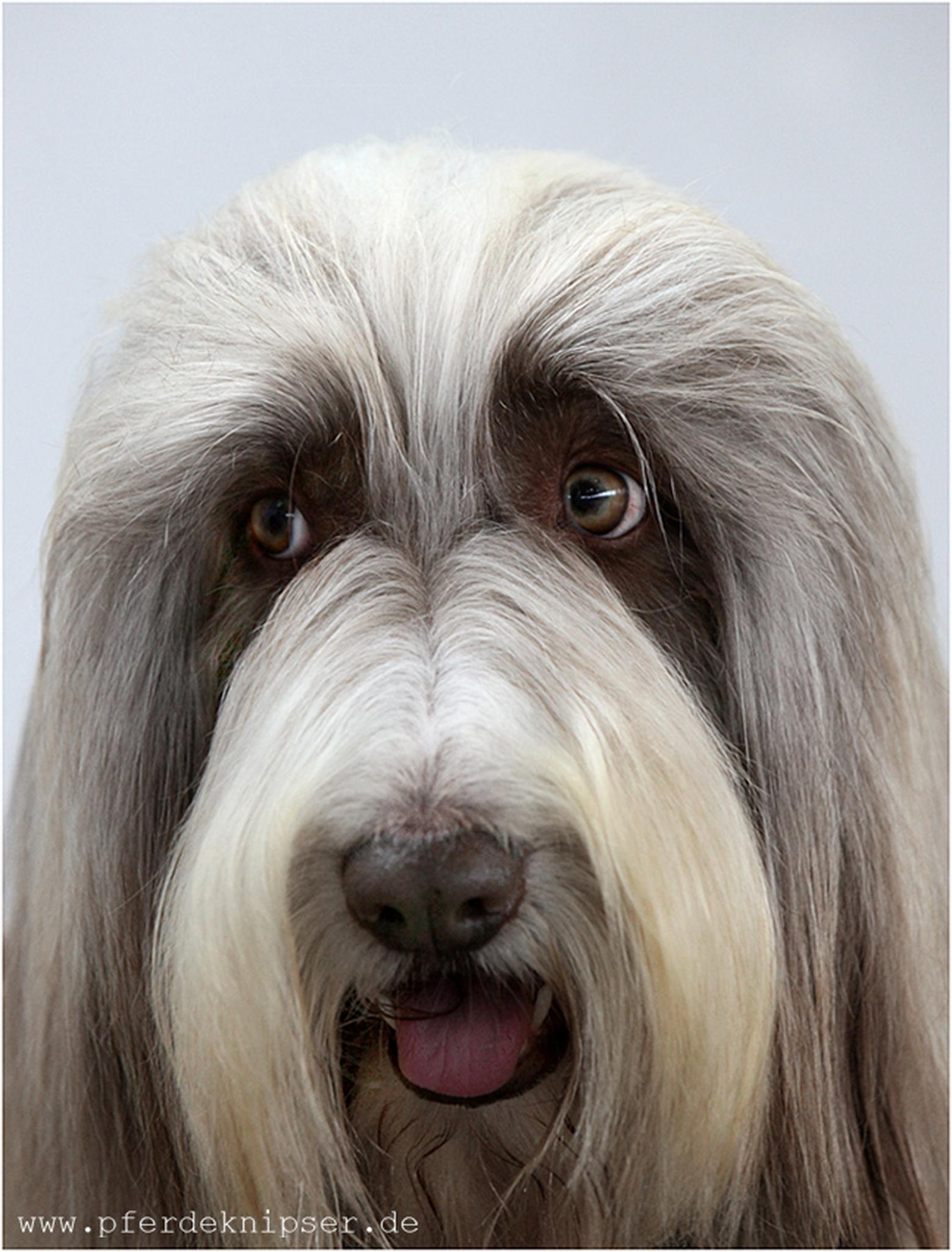 Fein gemacht 6011012336 o