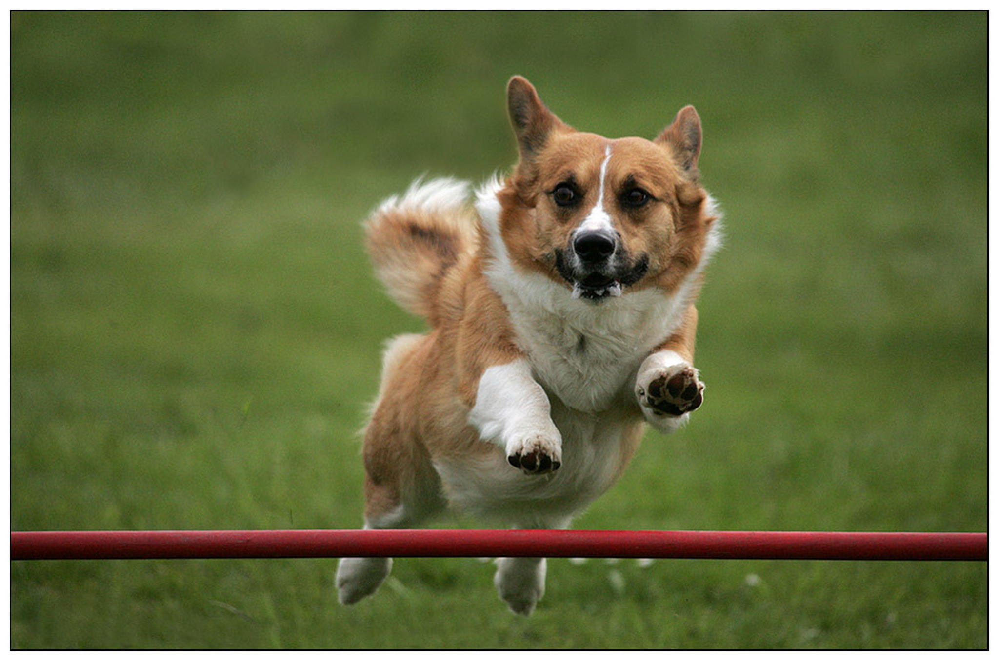 Flieg gorki flieg 6010395205 o