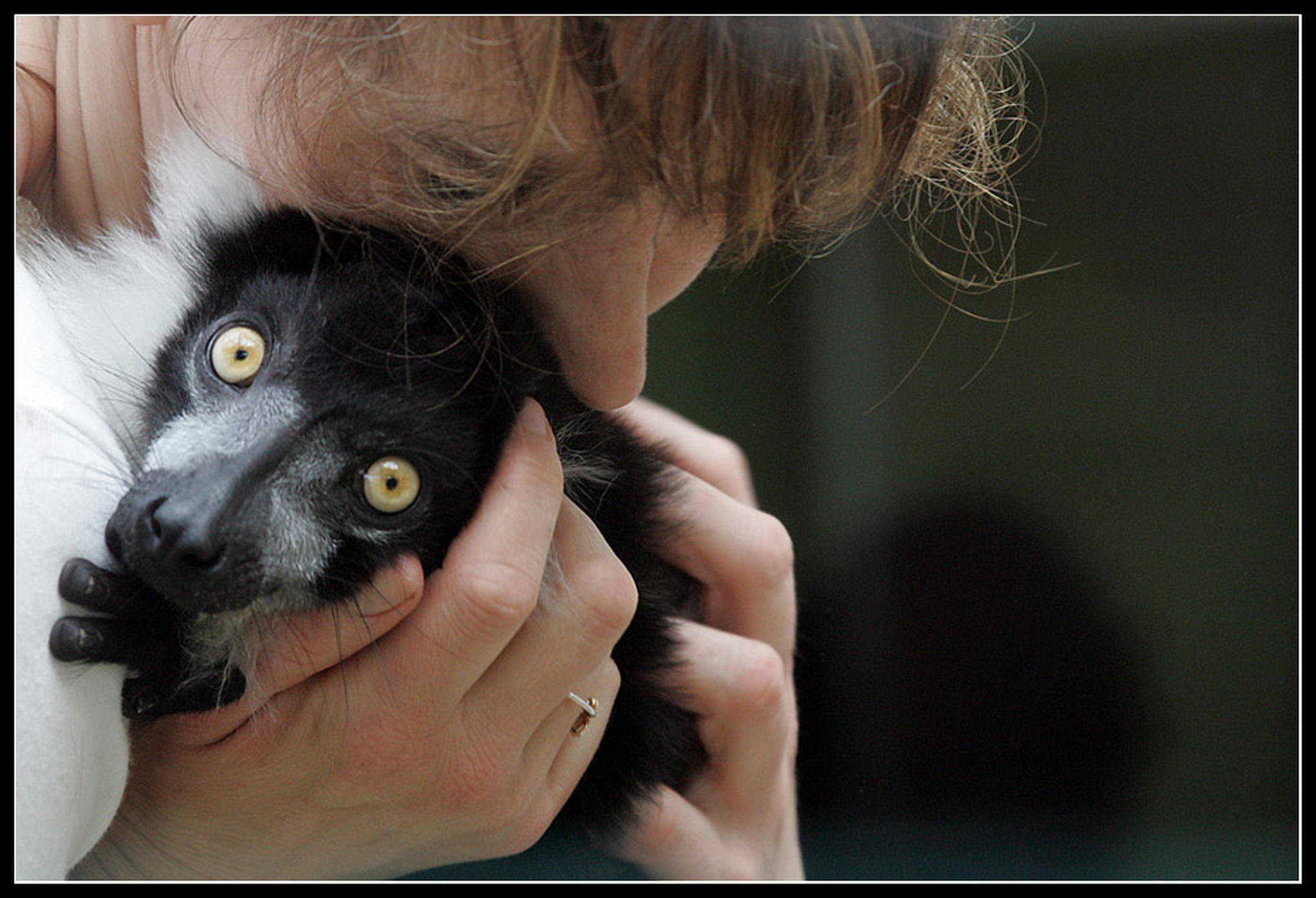 Freude und liebe 6010934752 o