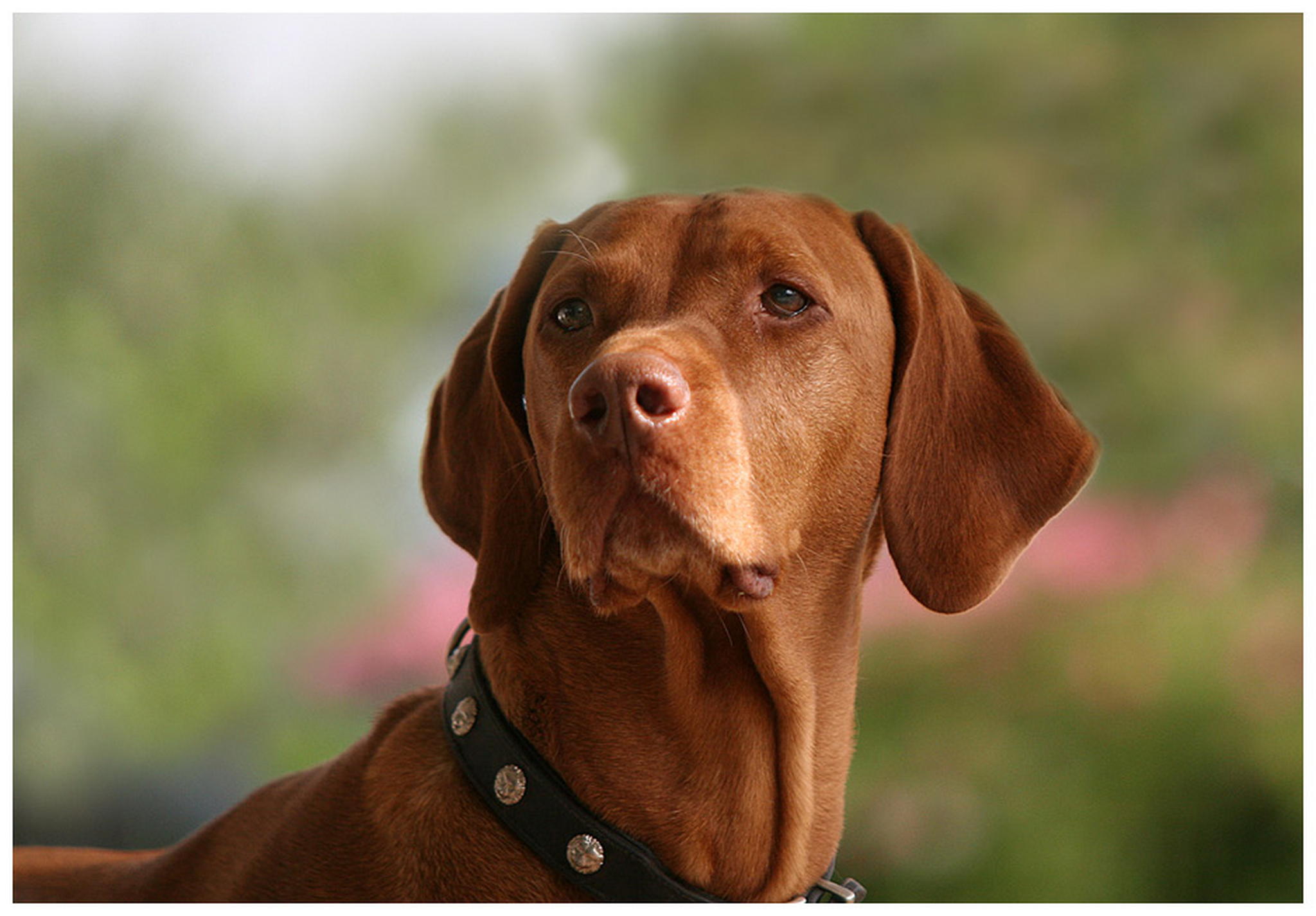 Garfield 6010539821 o