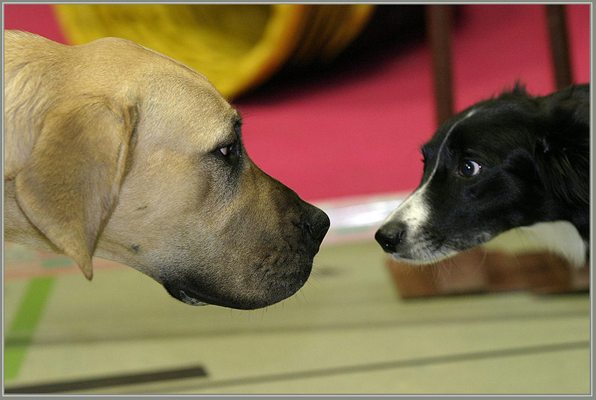 Gedanken lesen 6010590079 o