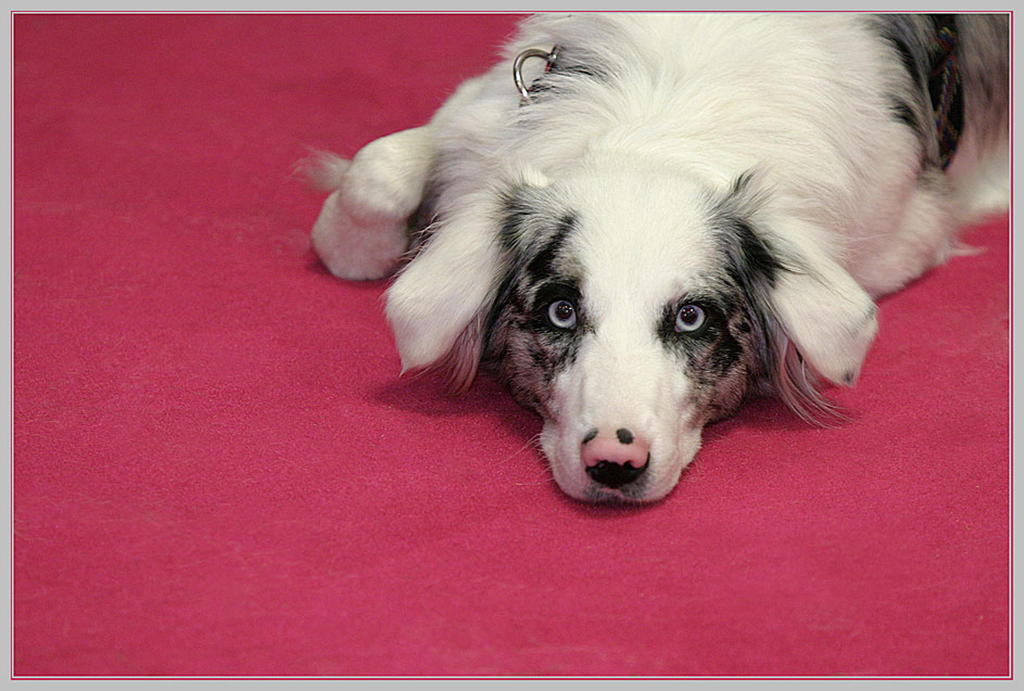 Gedanken 6010590153 o