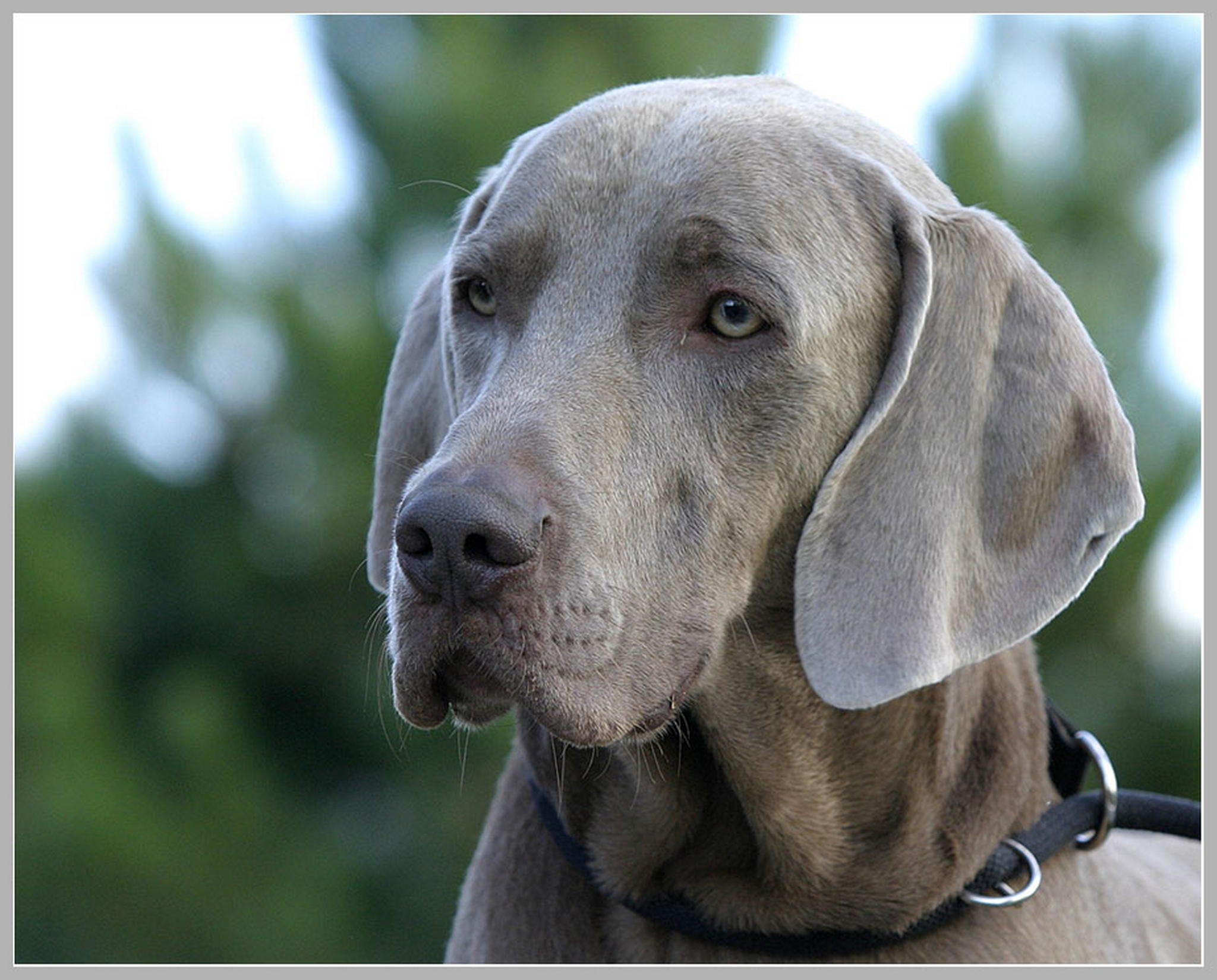 Gedanken 6010590231 o