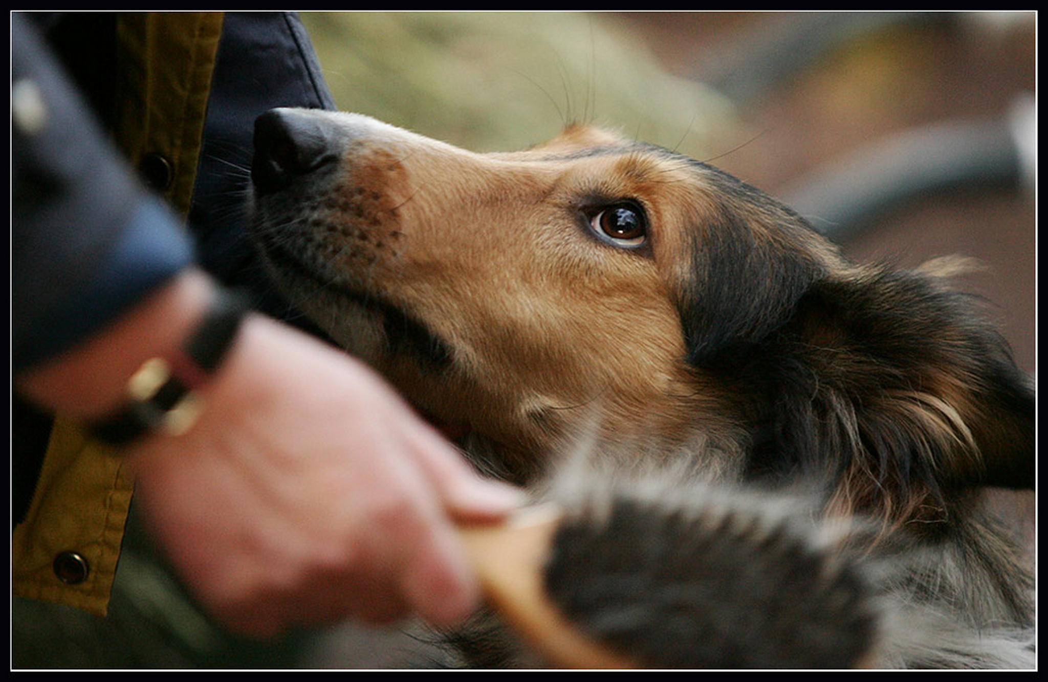 Gedanken 6010944514 o