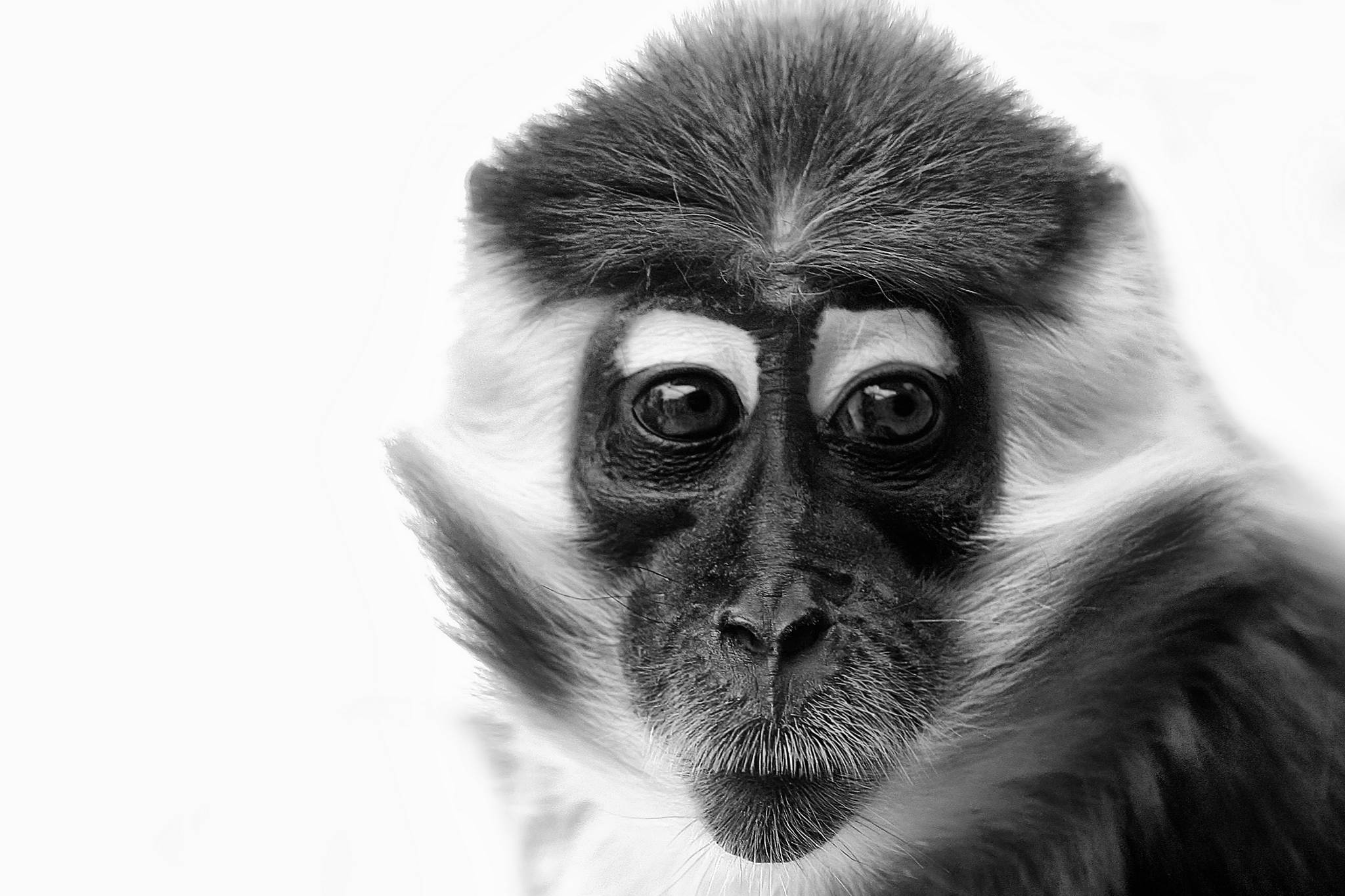 2004 03 07    112_1246 6616csw