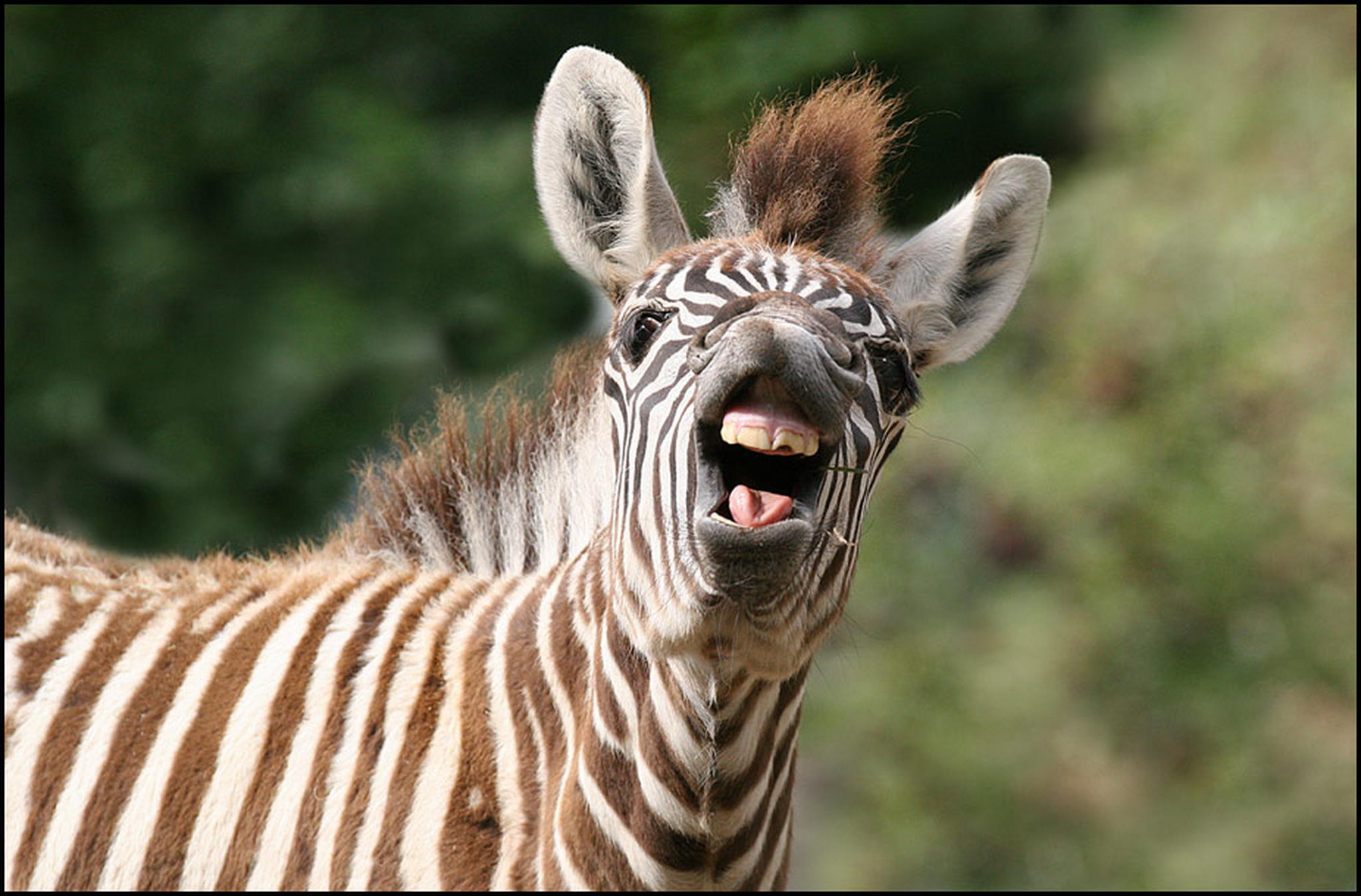 Hey mach foddo 6010555869 o