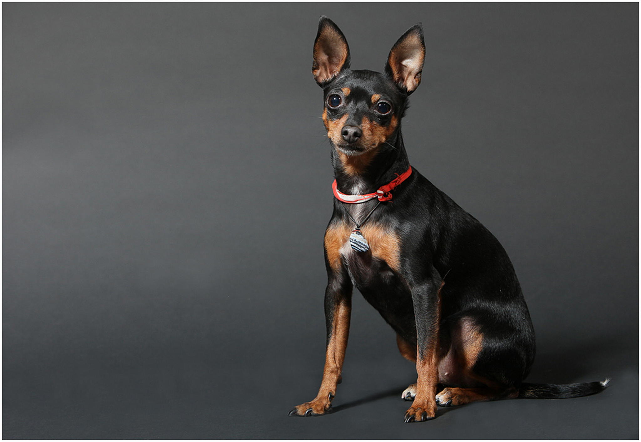 Ich habe fertig 6011012666 o