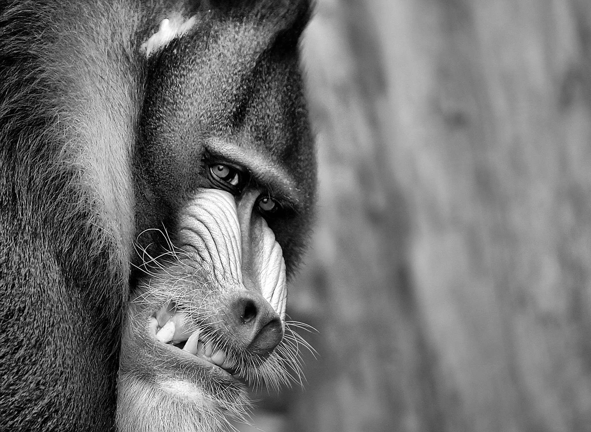 2004 10 10    IMG_9325b