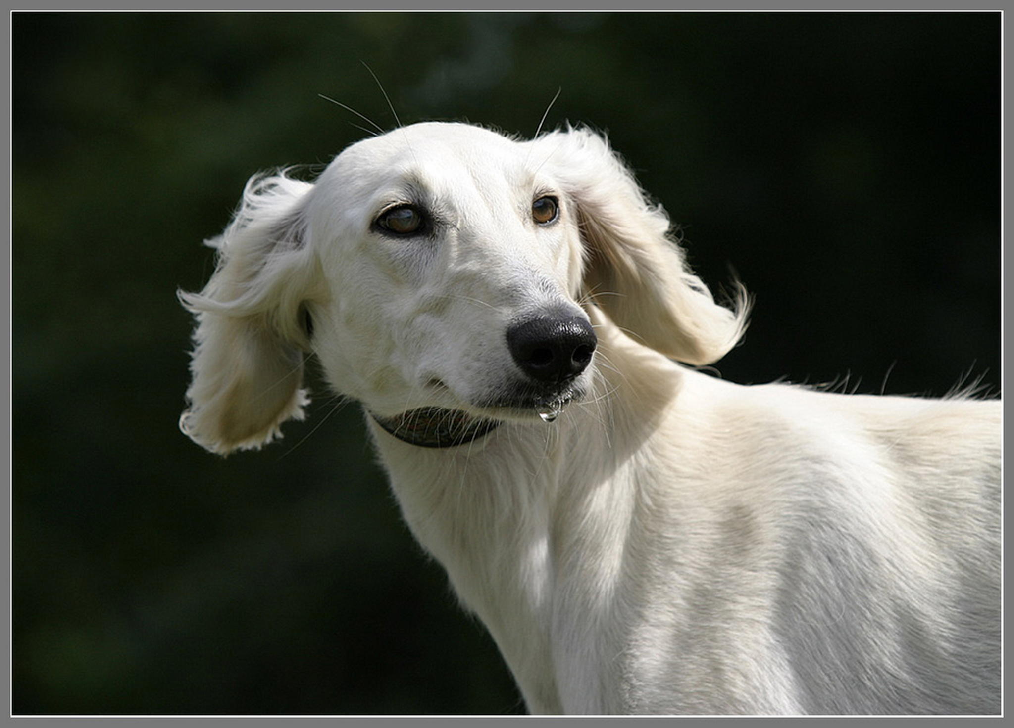 Ich mag ihn 6011374114 o