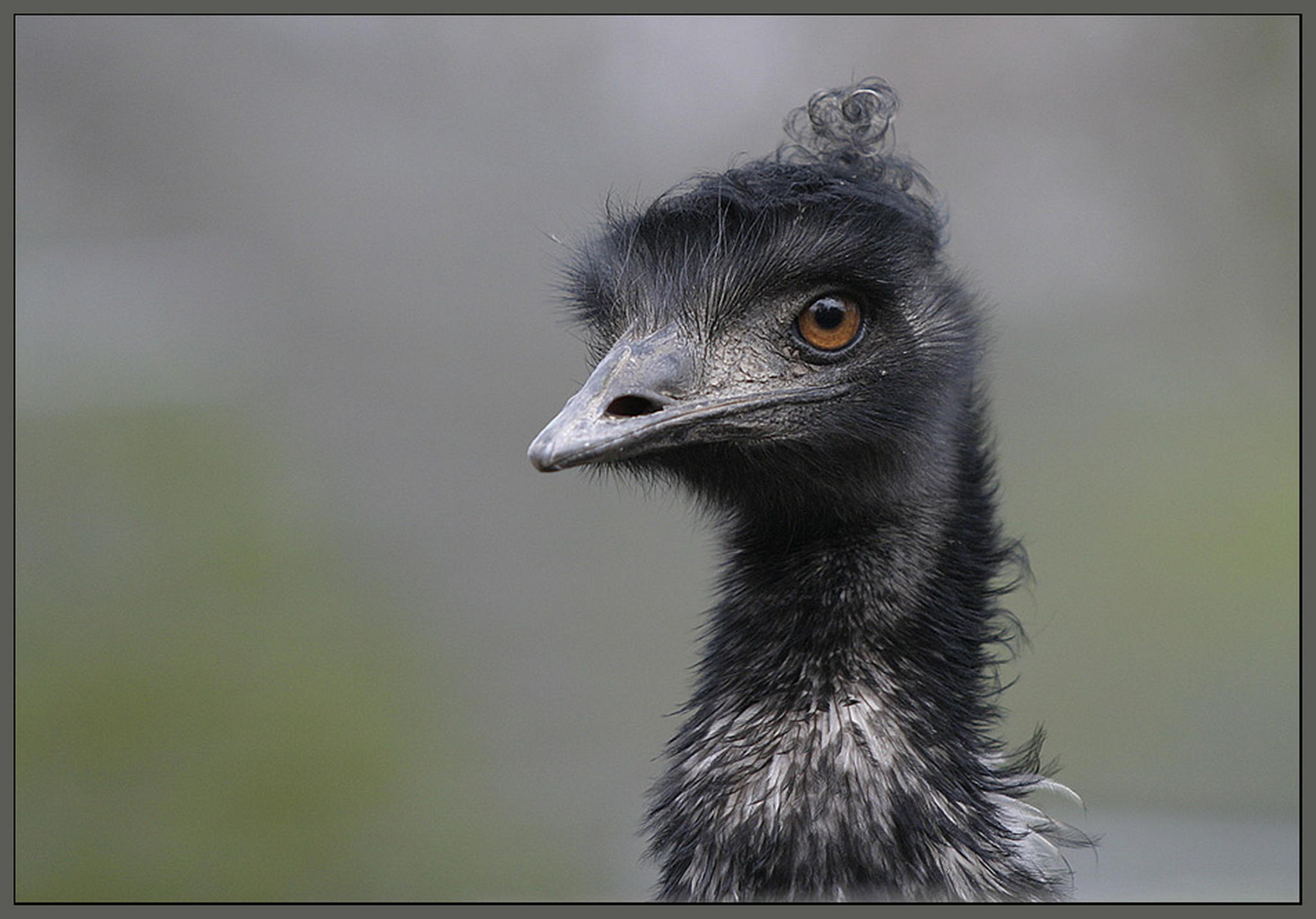 Ich war gerade beim friseur 6011127722 o