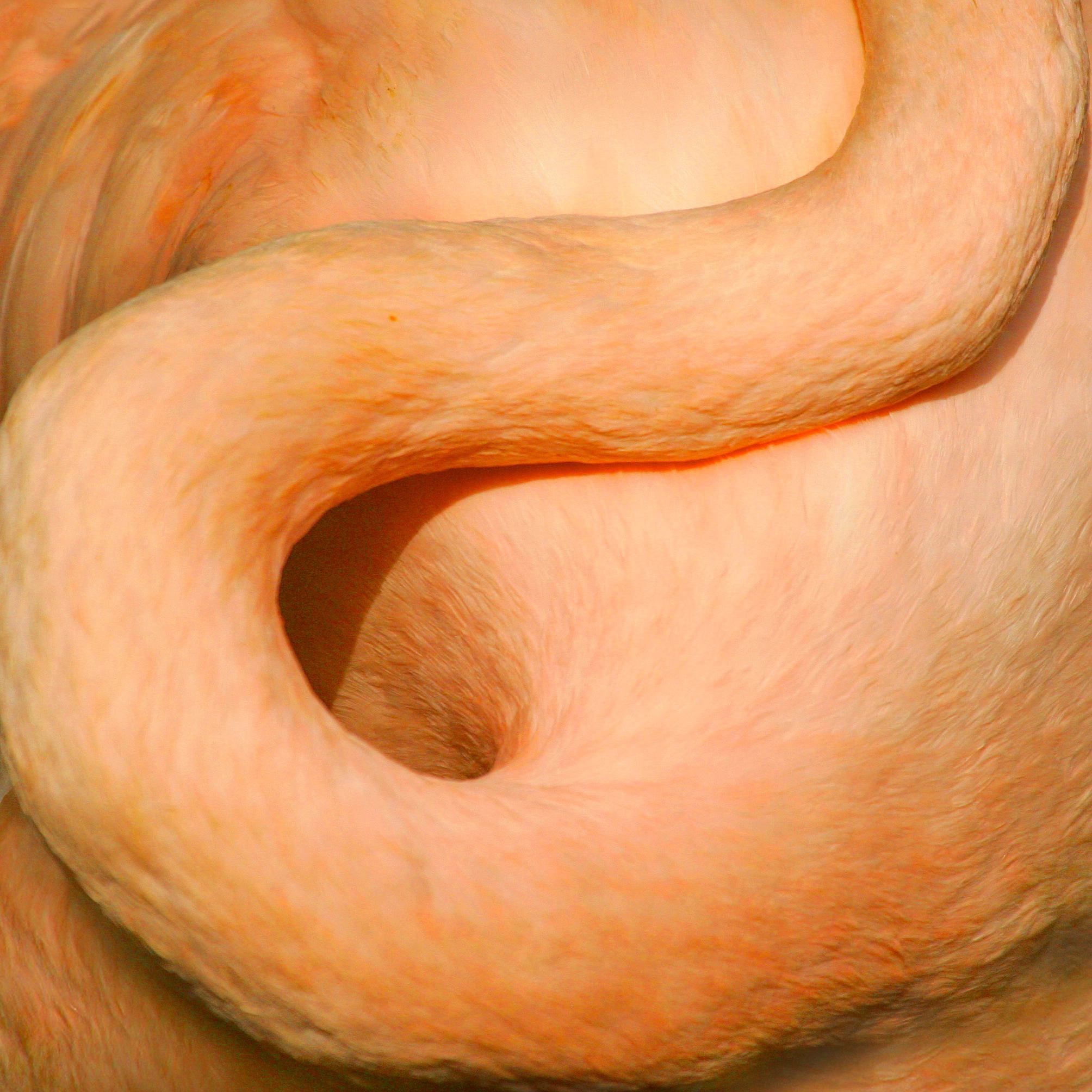 Id0w6376 52933803474 o