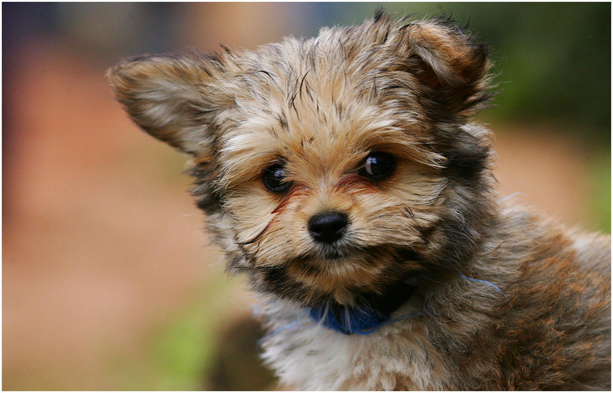 Knuffig 6010944070 o