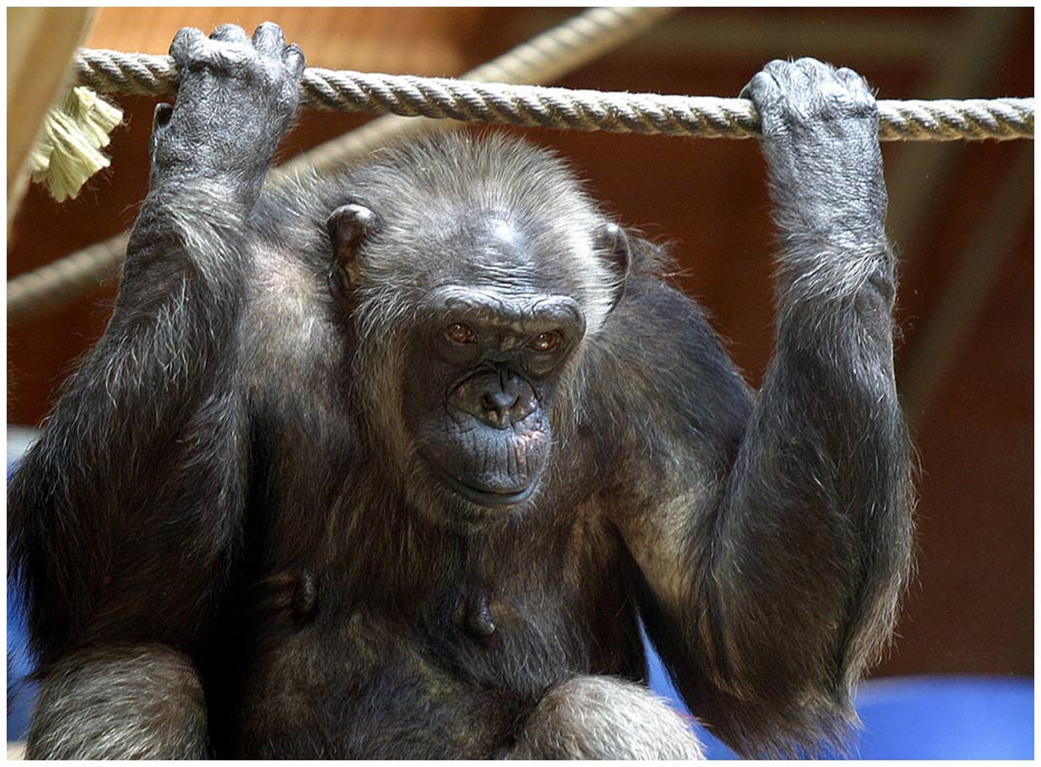 Komm nur wenn du dich traust 6011087642 o