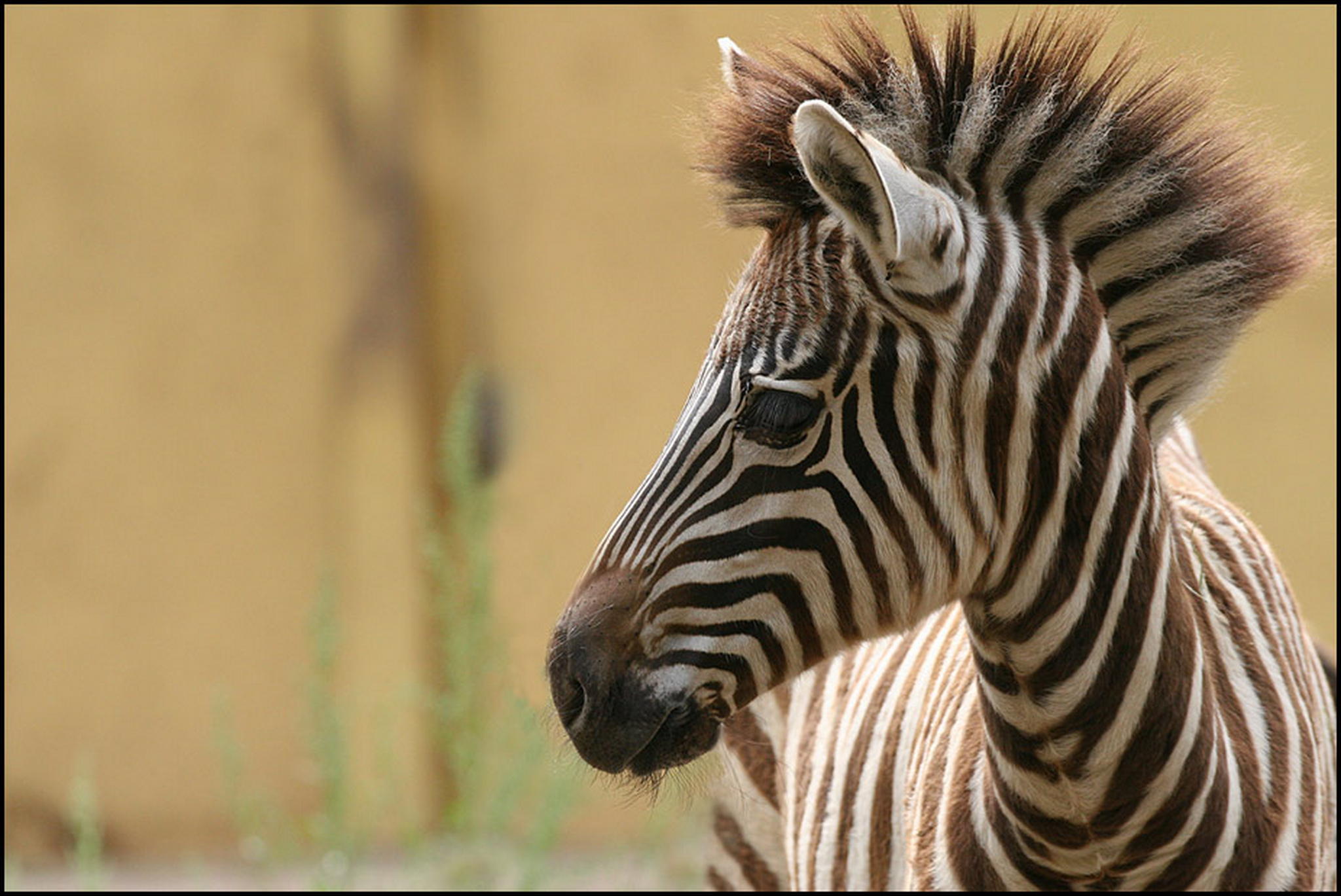 Langeweile 6011103912 o