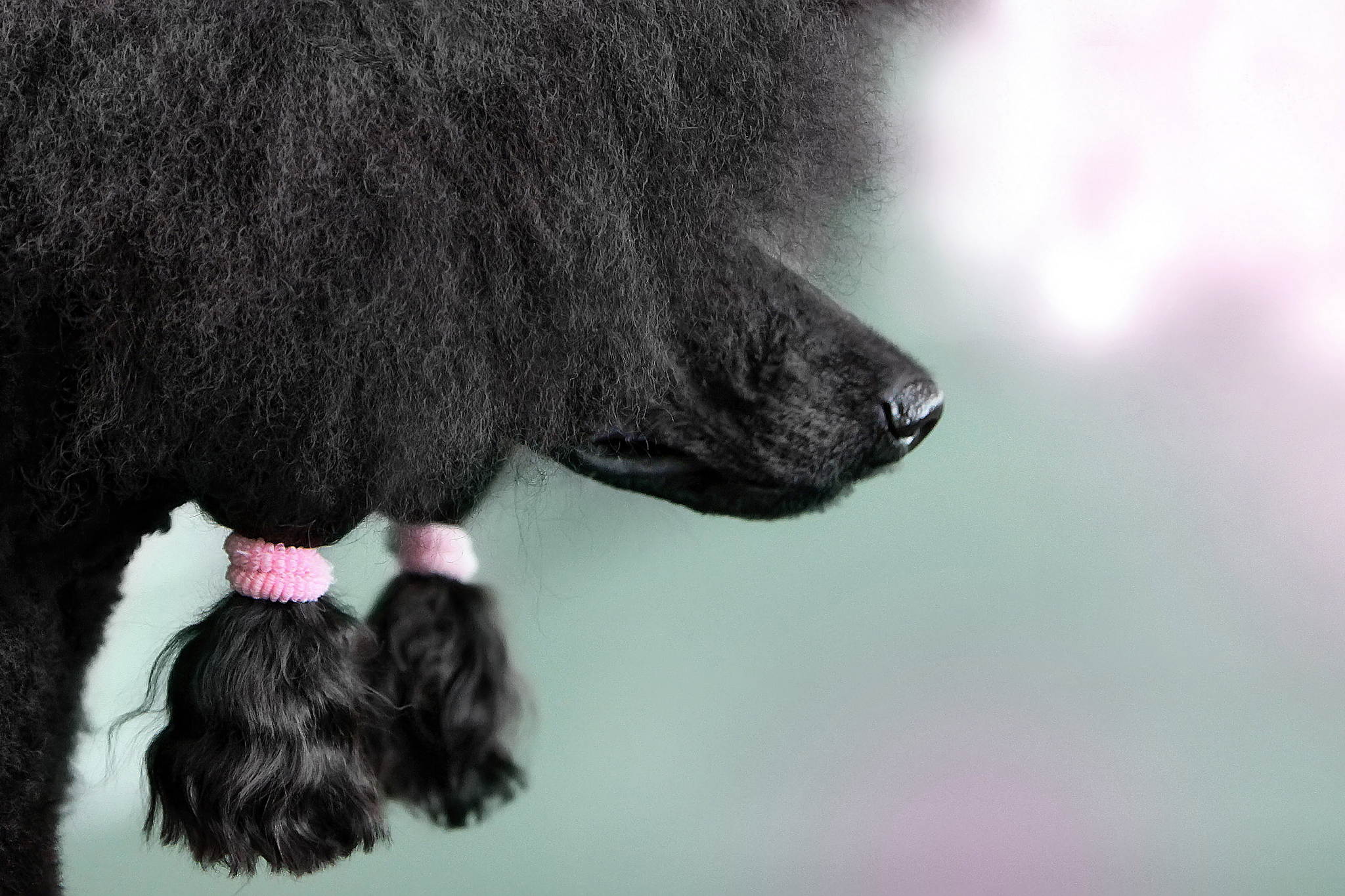 Lckchen 13854890084 o