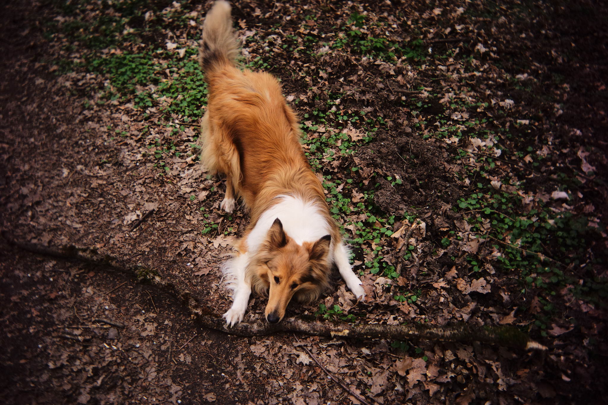 Leica m240 keks lens 51124776420 o