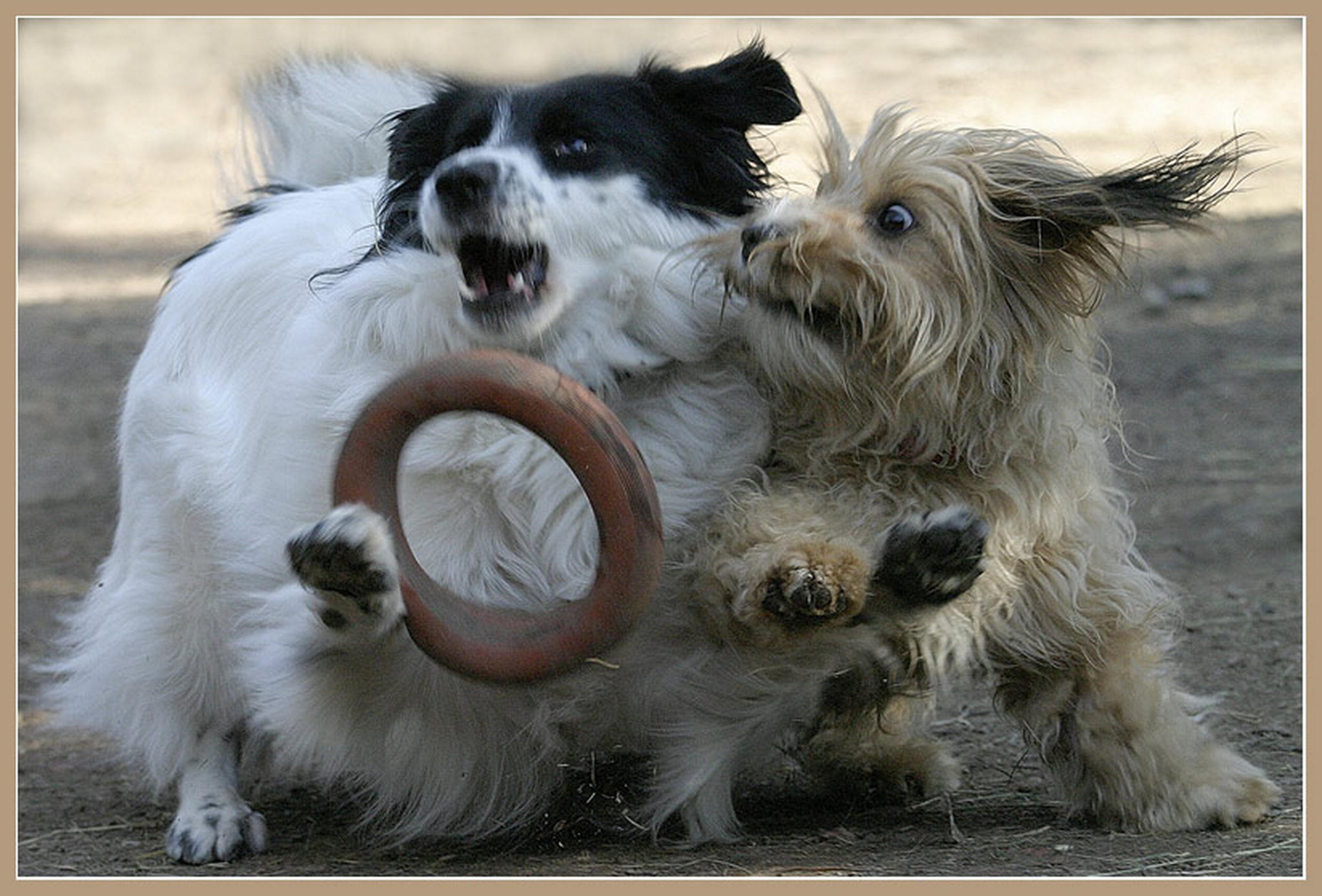 Leider zu schnell 6011377964 o