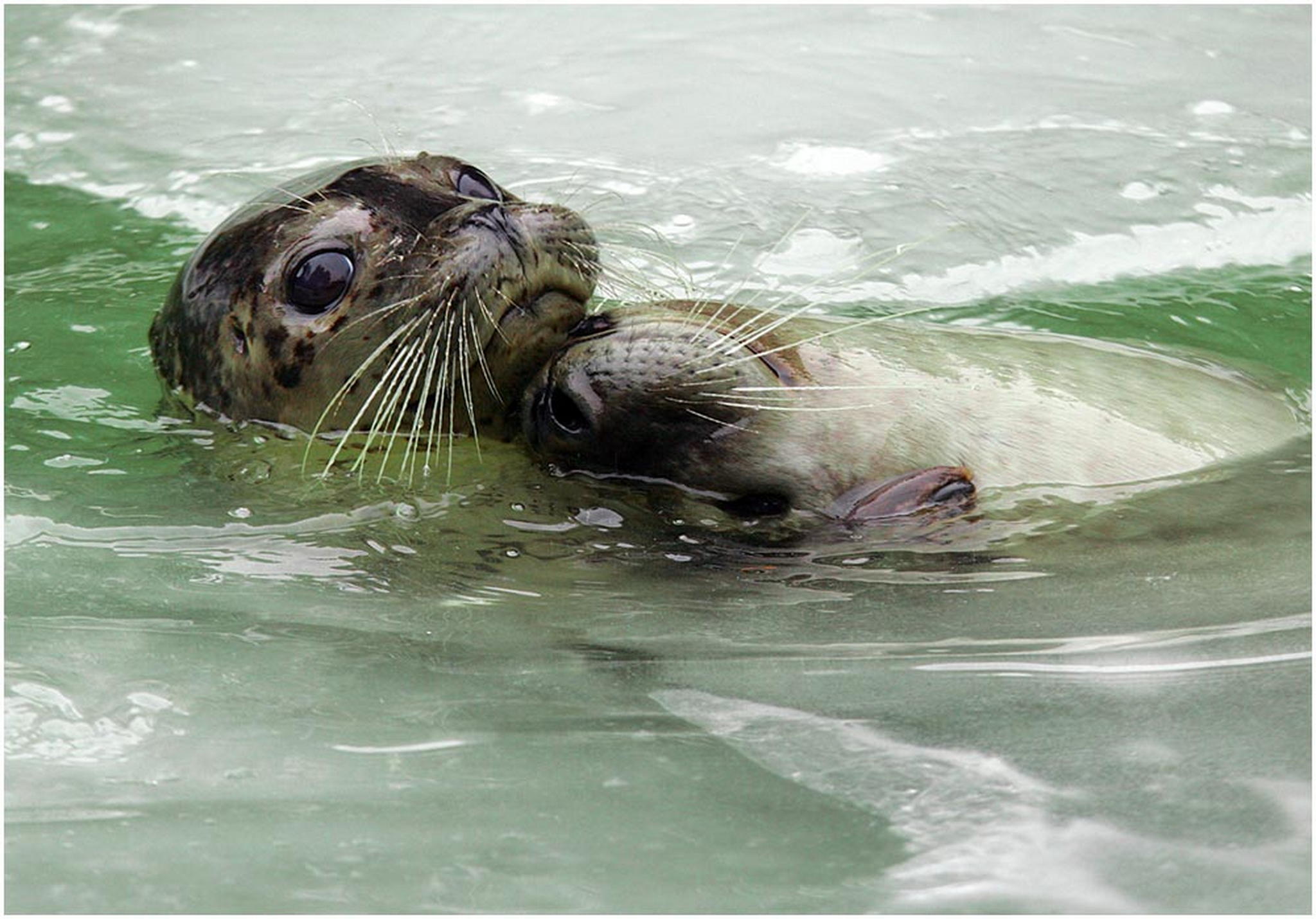 Liebe ist 6010944586 o